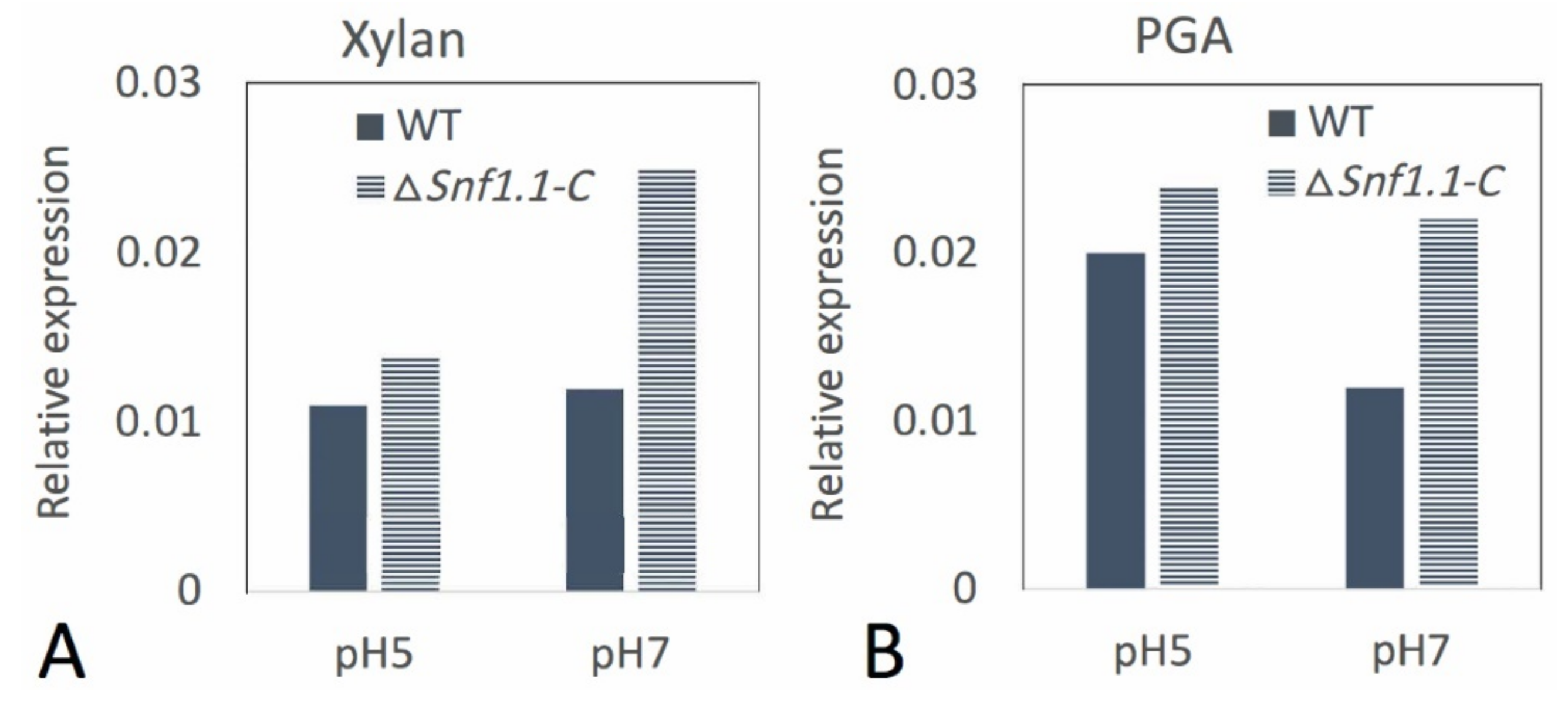 Microorganisms 10 00444 g008