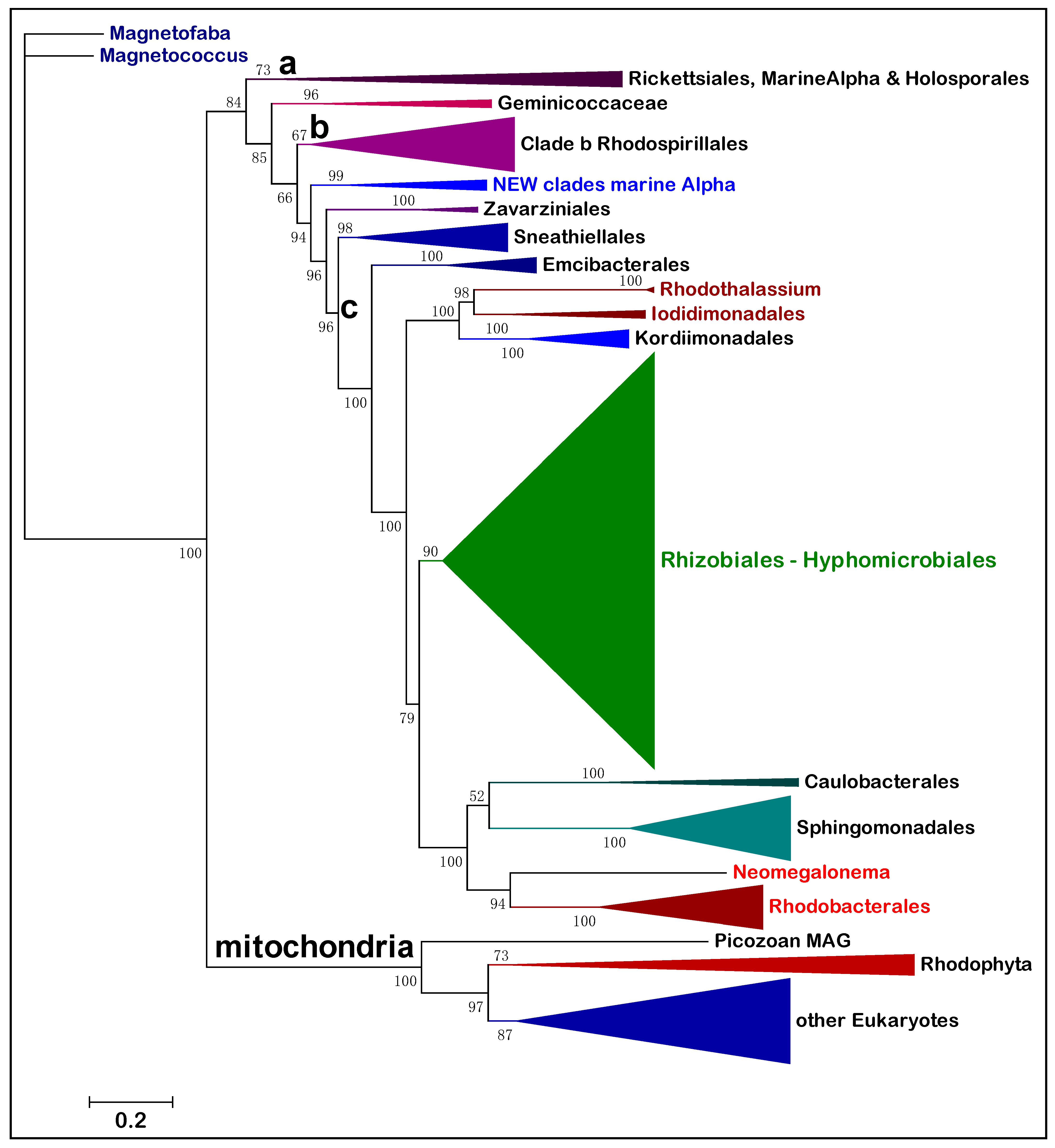 Microorganisms 10 00455 g001