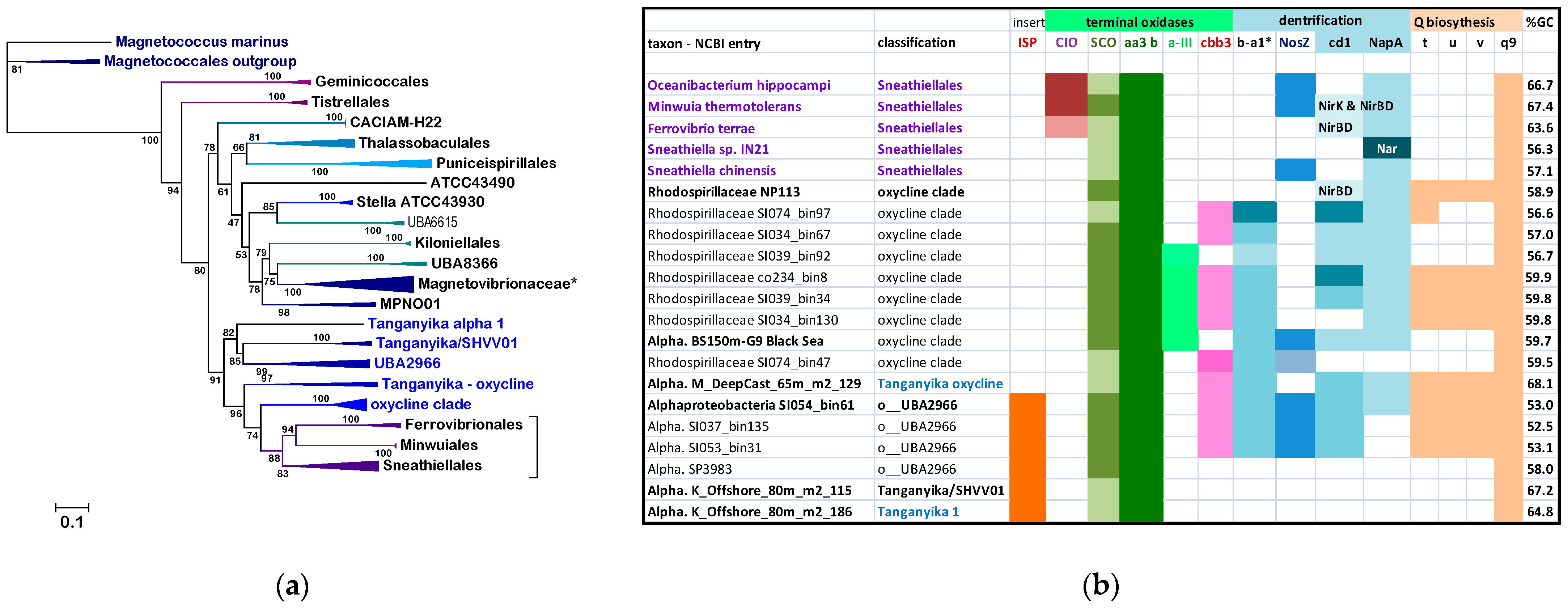 Microorganisms 10 00455 g002