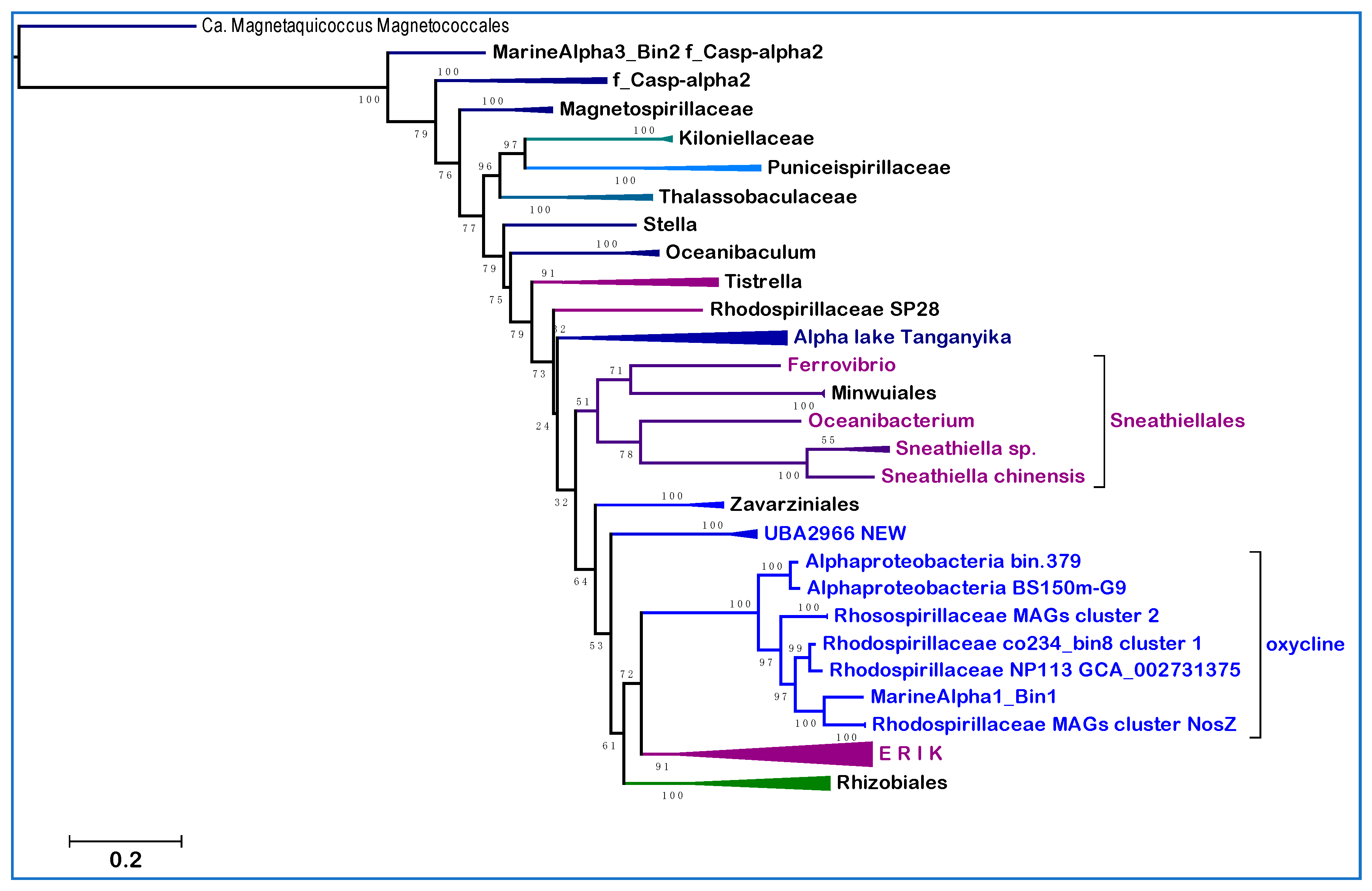 Microorganisms 10 00455 g003