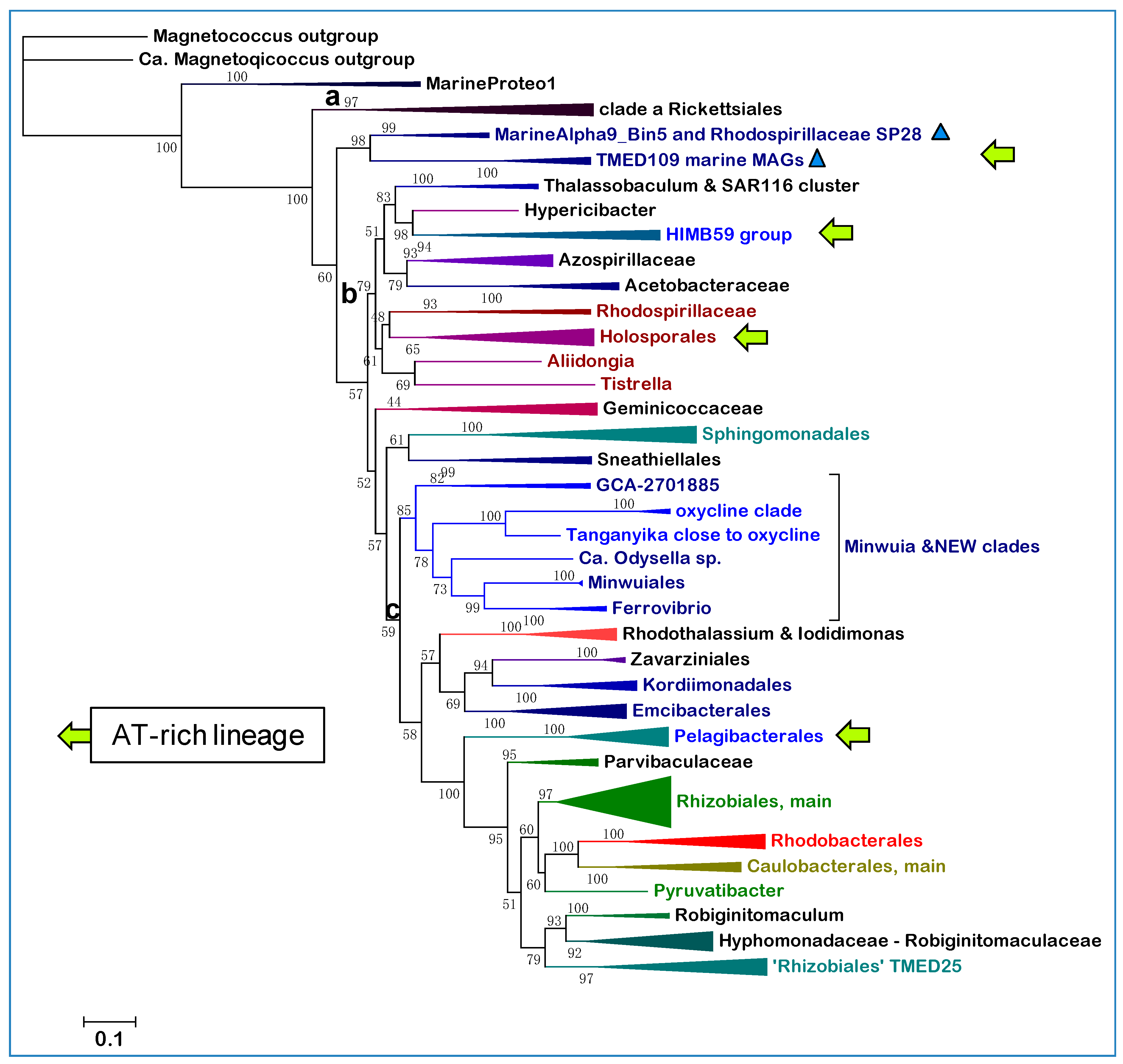 Microorganisms 10 00455 g005
