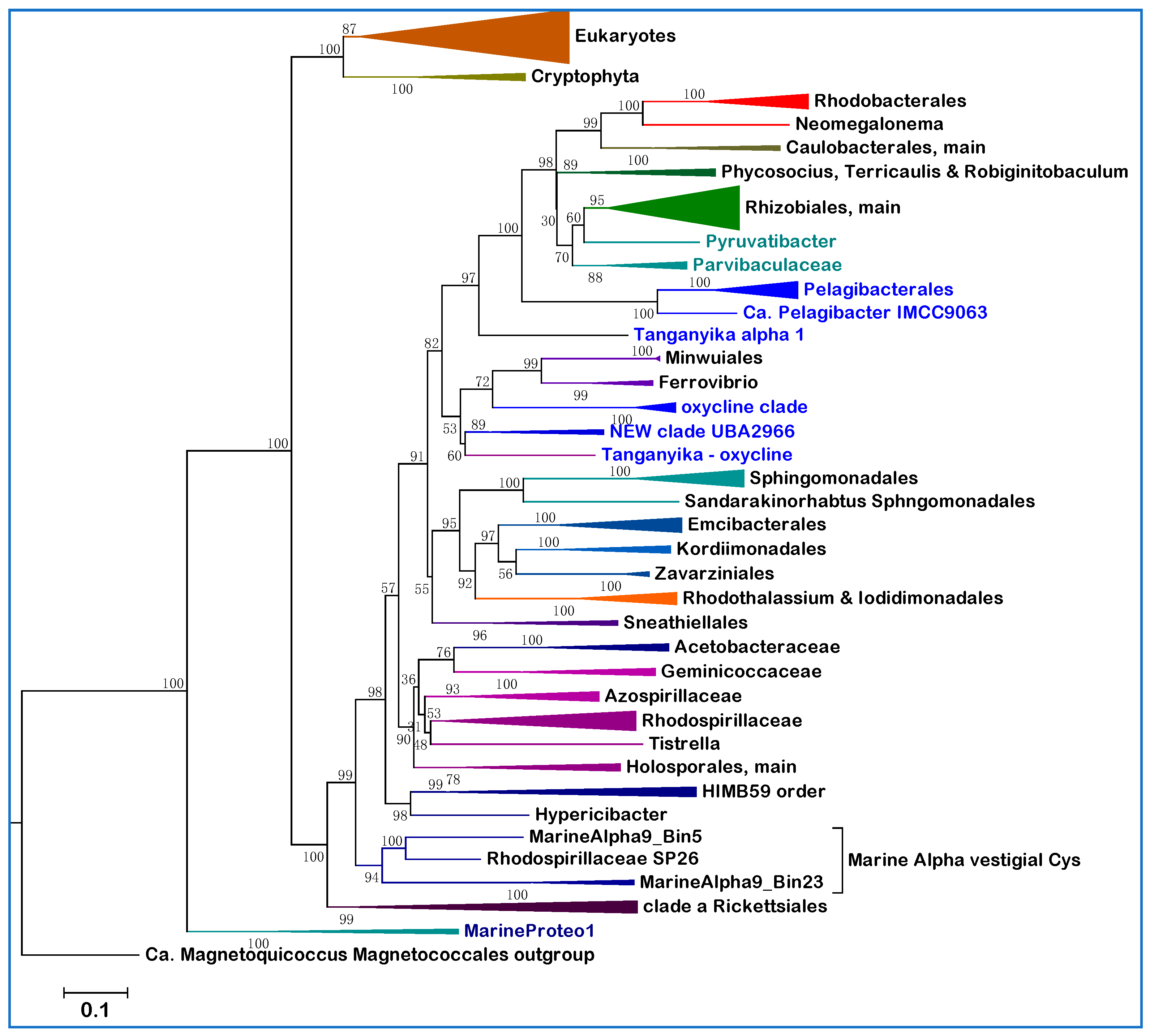 Microorganisms 10 00455 g006