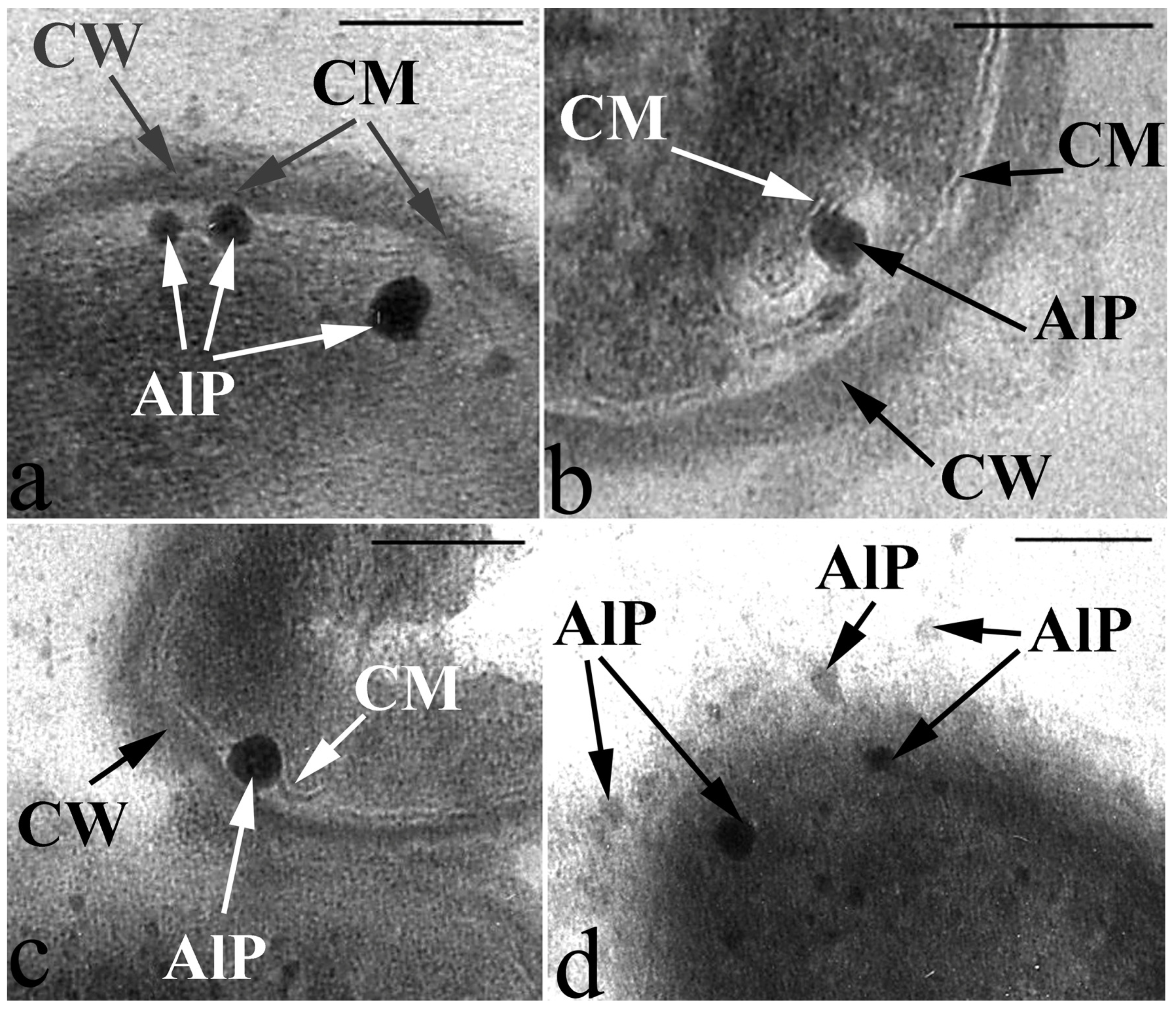 Microorganisms 10 00465 g005 Microorganisms 10 00465 g005