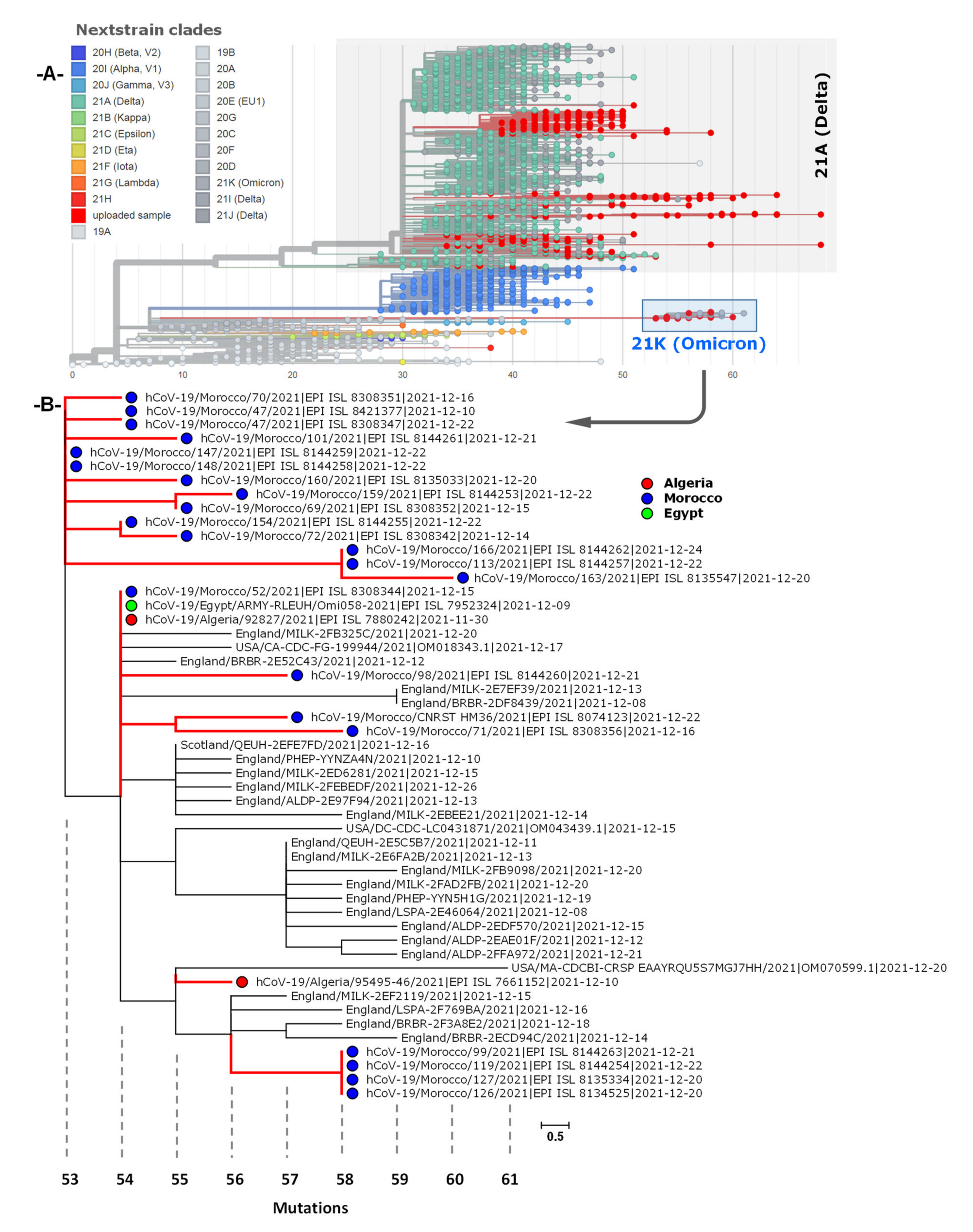 Microorganisms 10 00467 g005 550