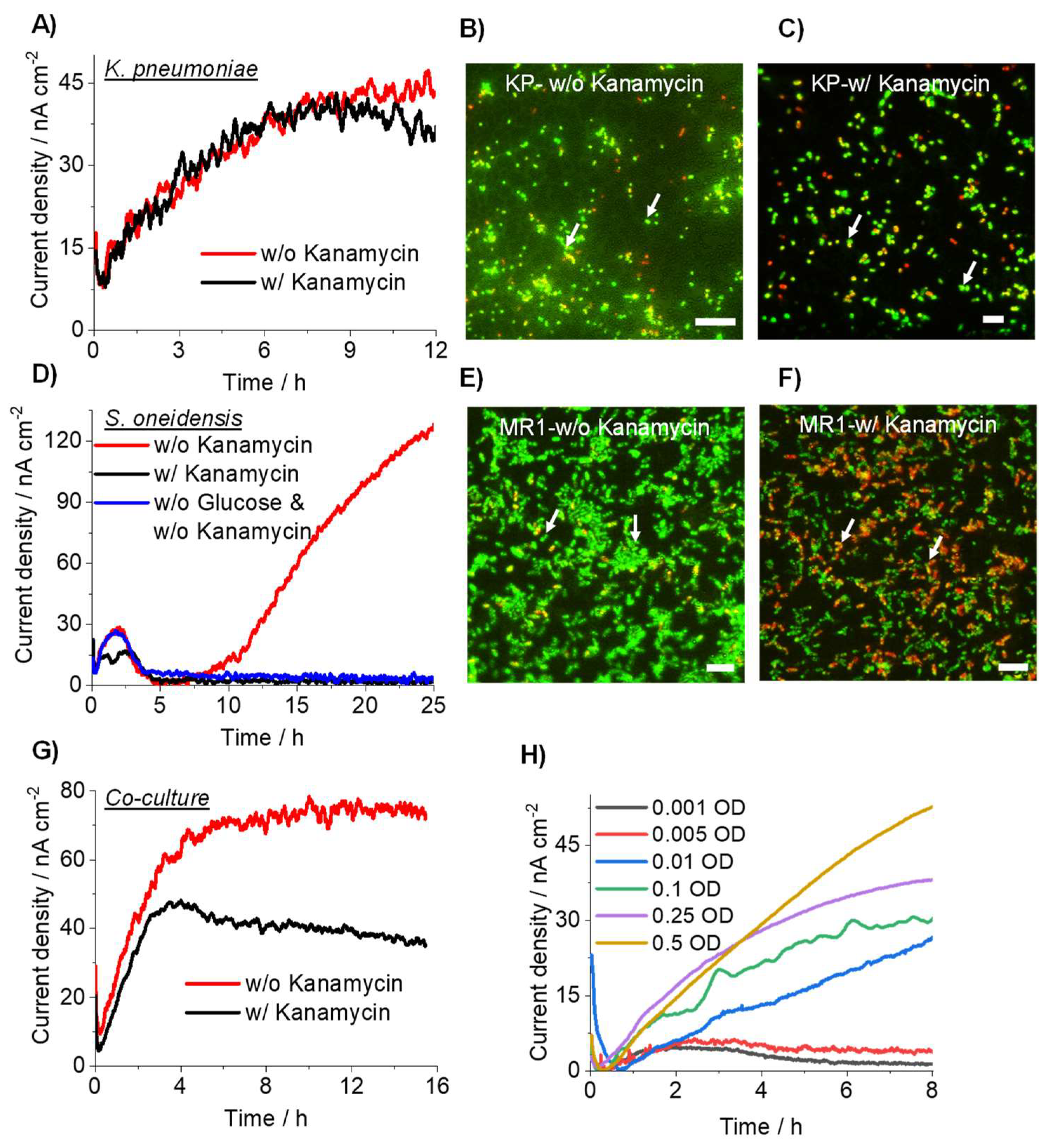 Microorganisms 10 00472 g003 550