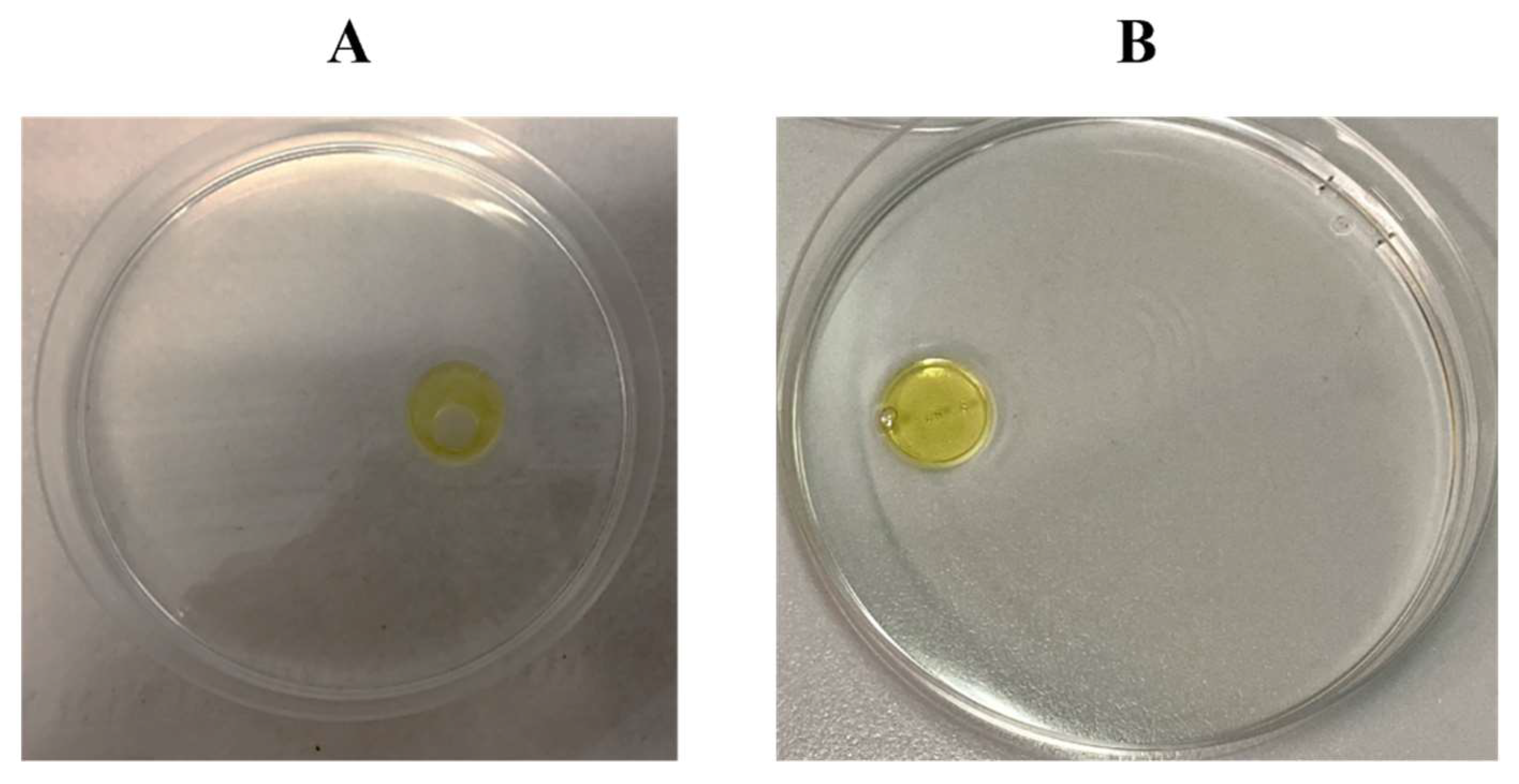 Microorganisms 10 00475 g001 550
