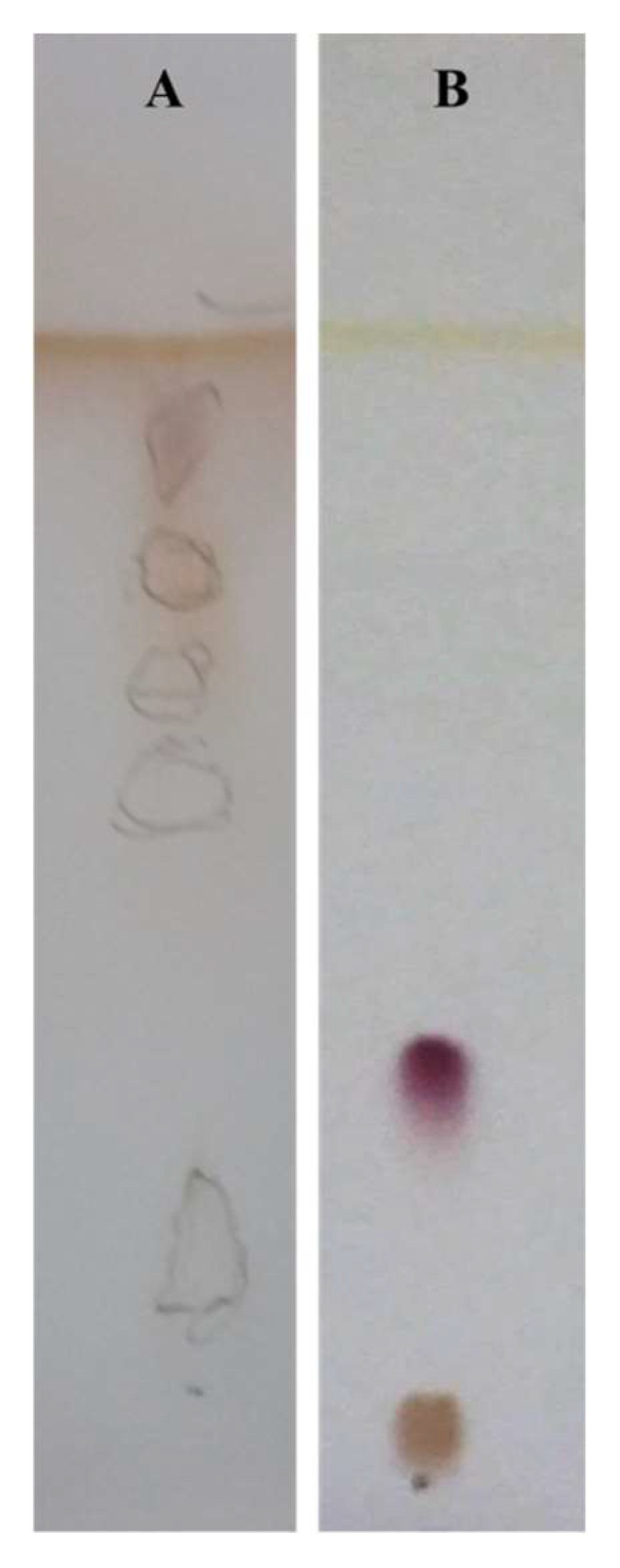 Microorganisms 10 00475 g005 550