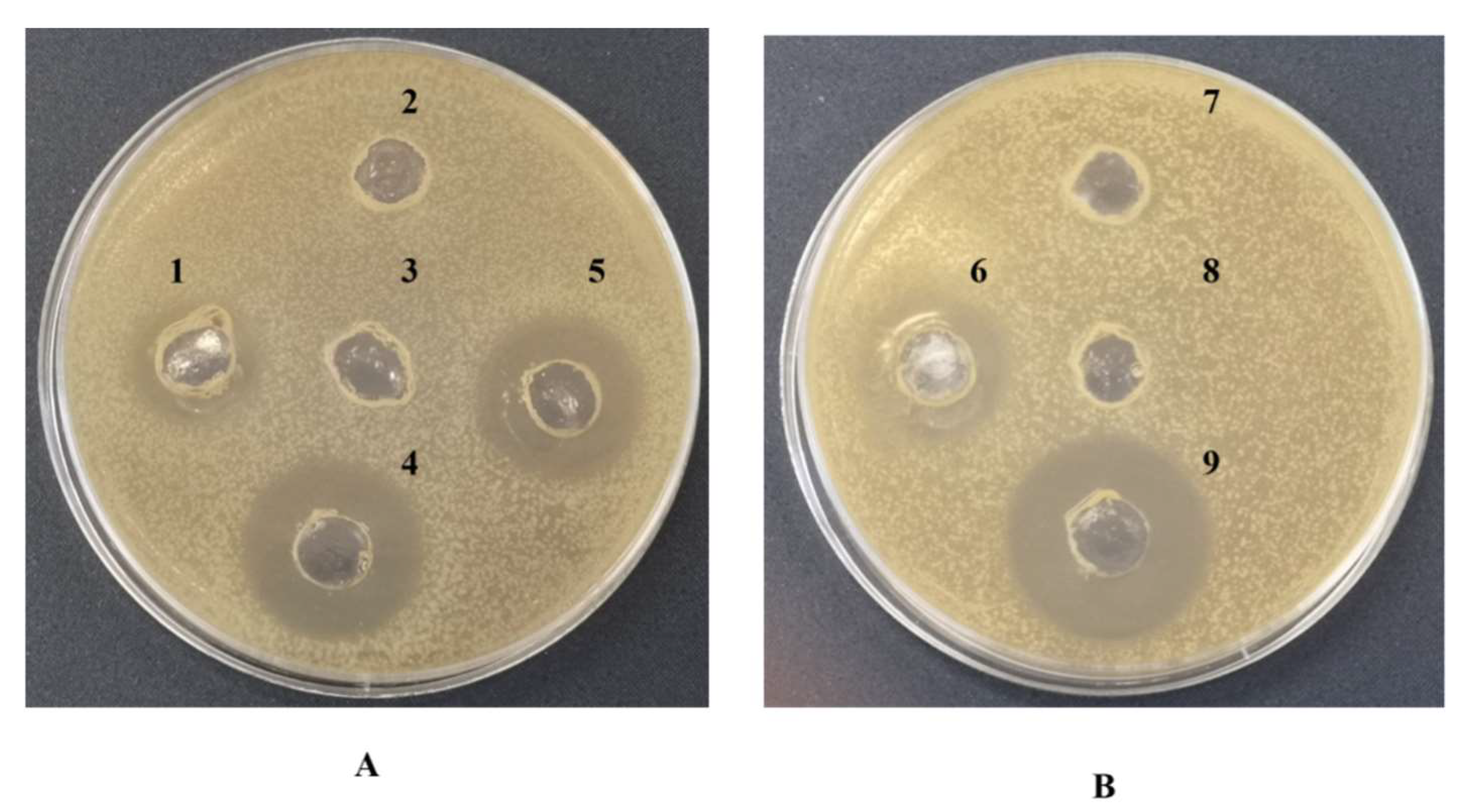 Microorganisms 10 00475 g006 550