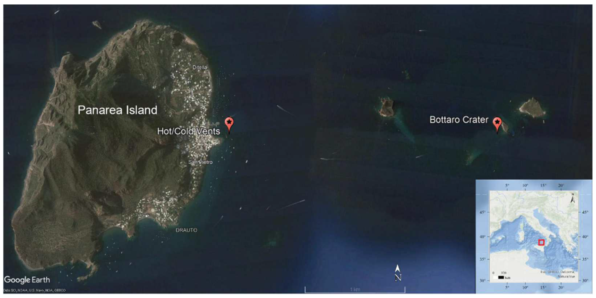 Microorganisms 10 00479 g001 Microorganisms 10 00479 g001