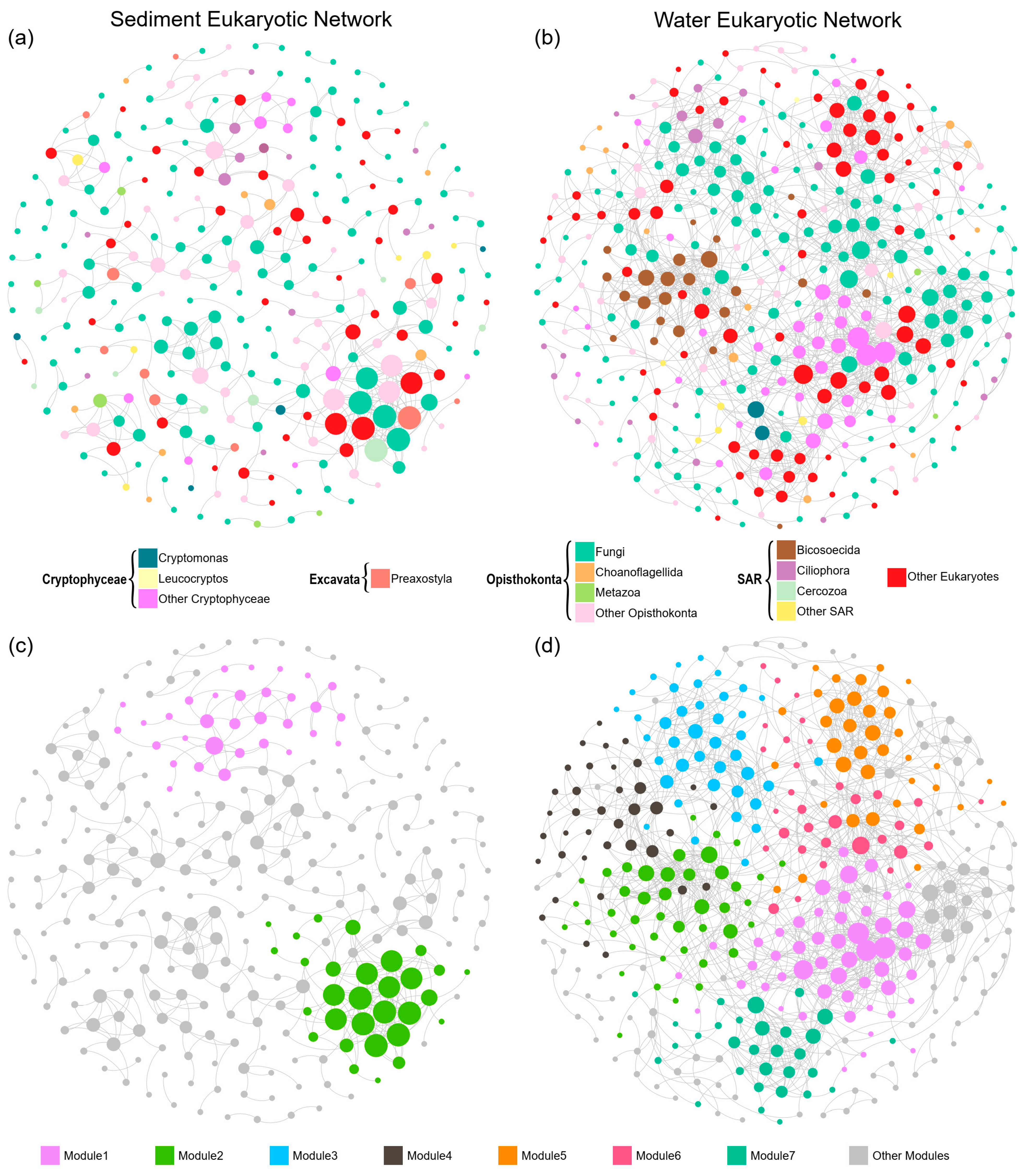Microorganisms 10 00481 g004 550