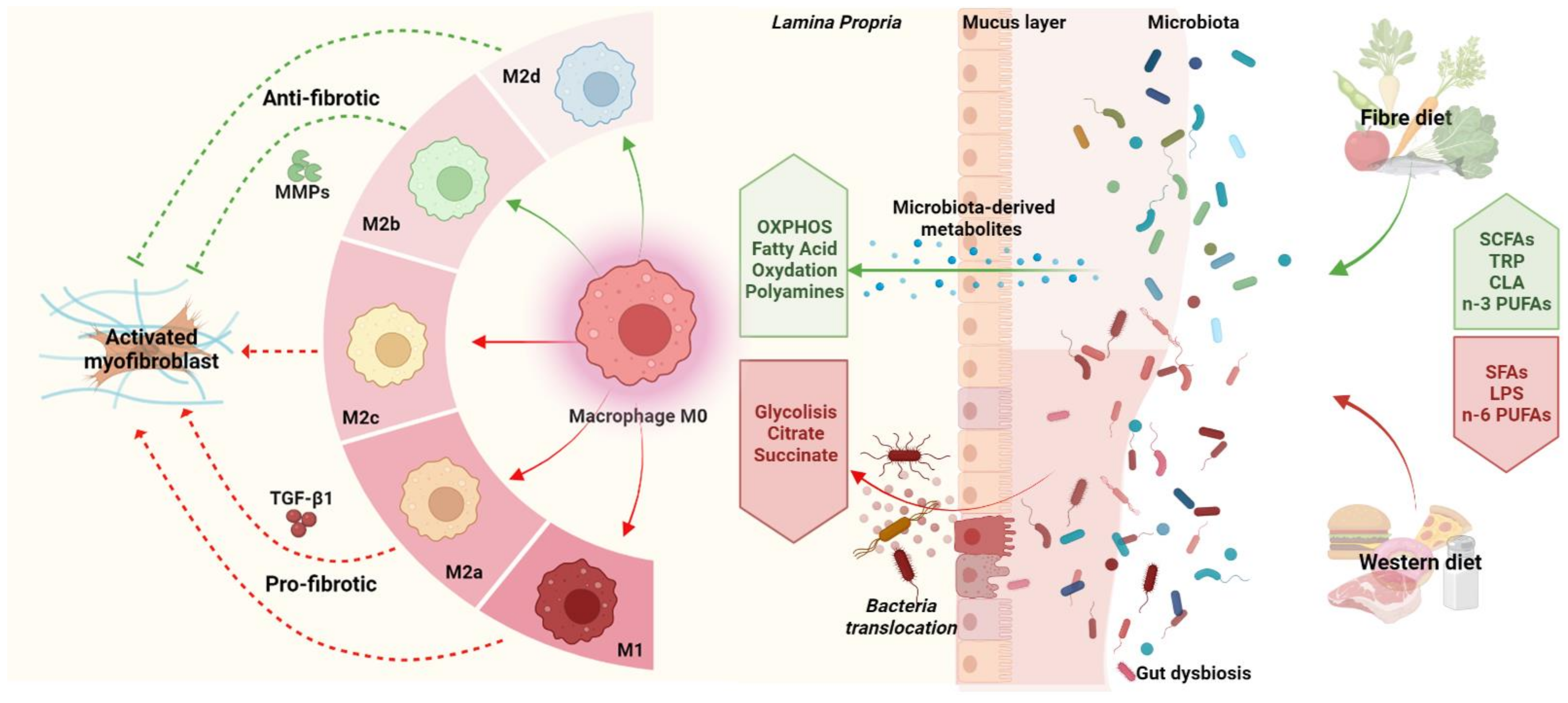 Microorganisms 10 00490 g002 550