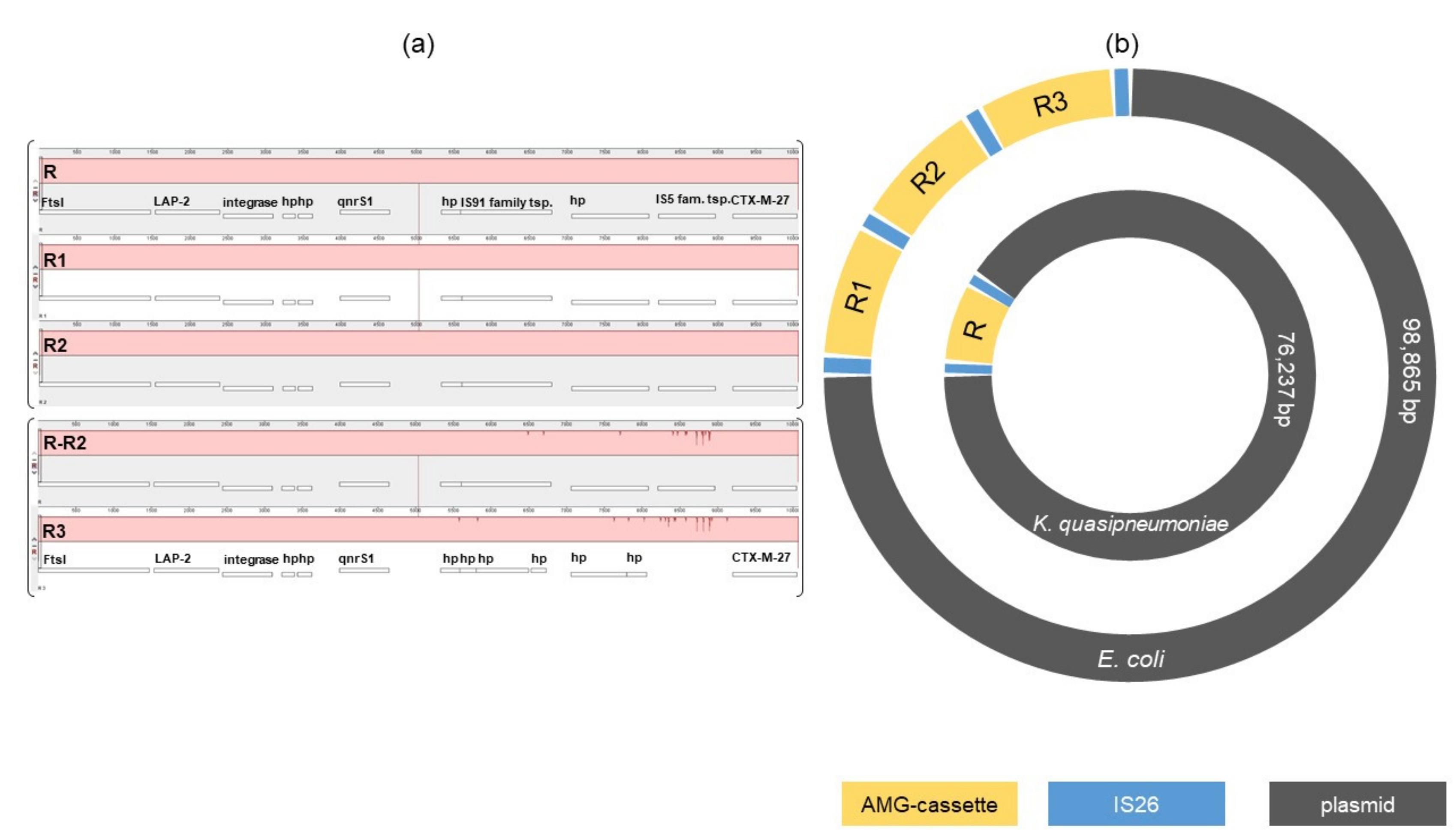 Microorganisms 10 00491 g002 550