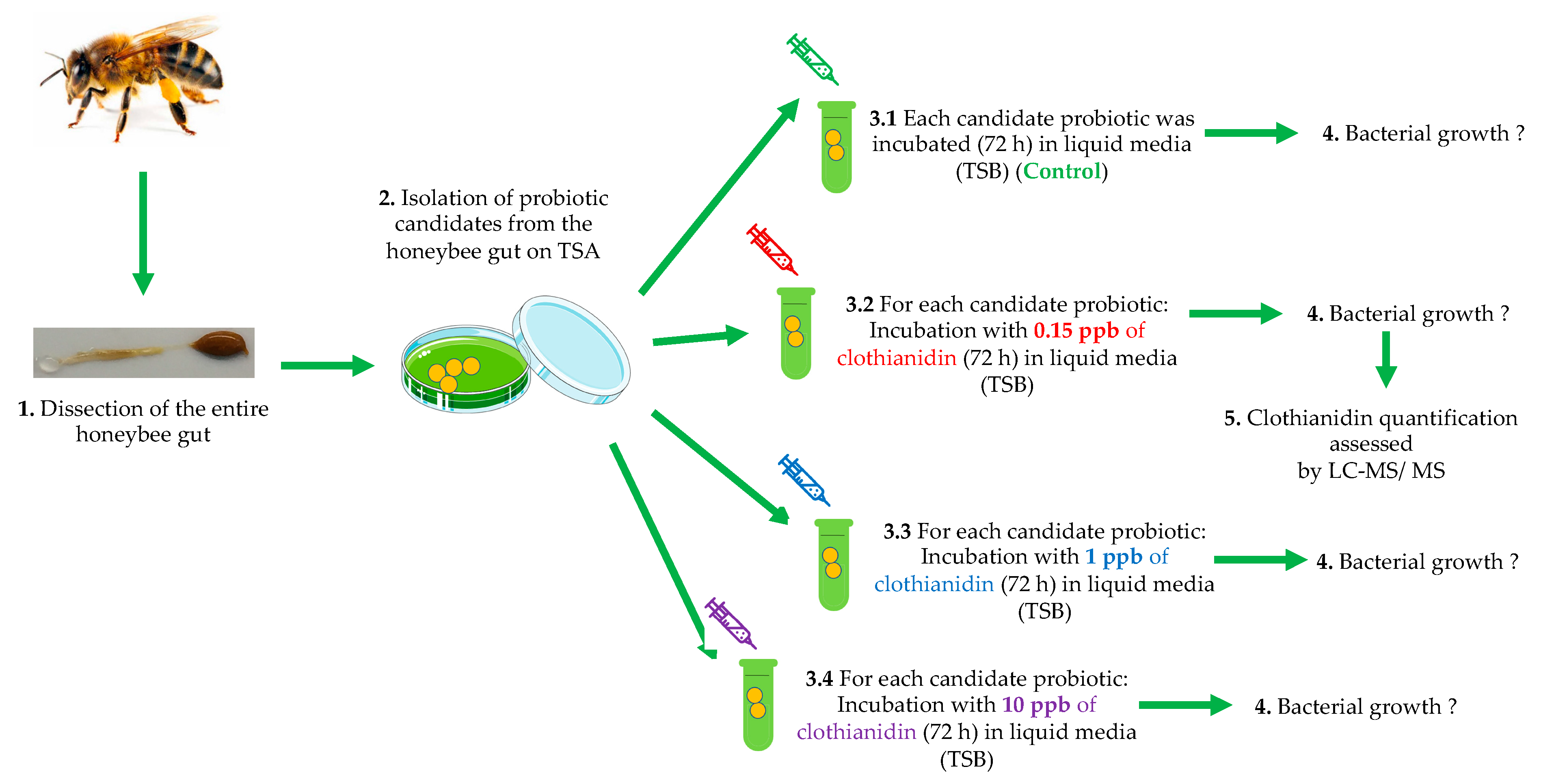 Microorganisms 10 00493 g001 Microorganisms 10 00493 g001