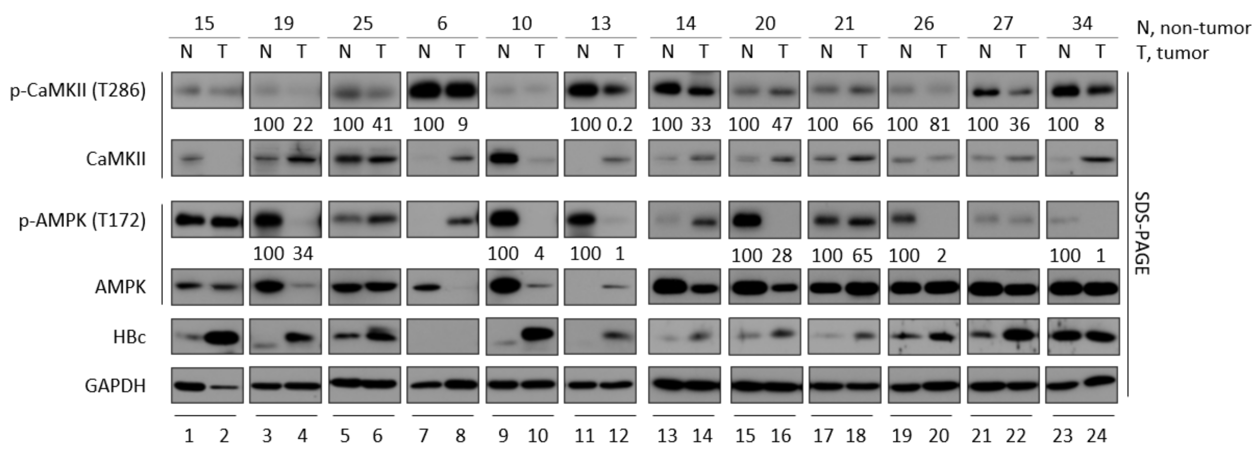 Microorganisms 10 00498 g002 Microorganisms 10 00498 g002