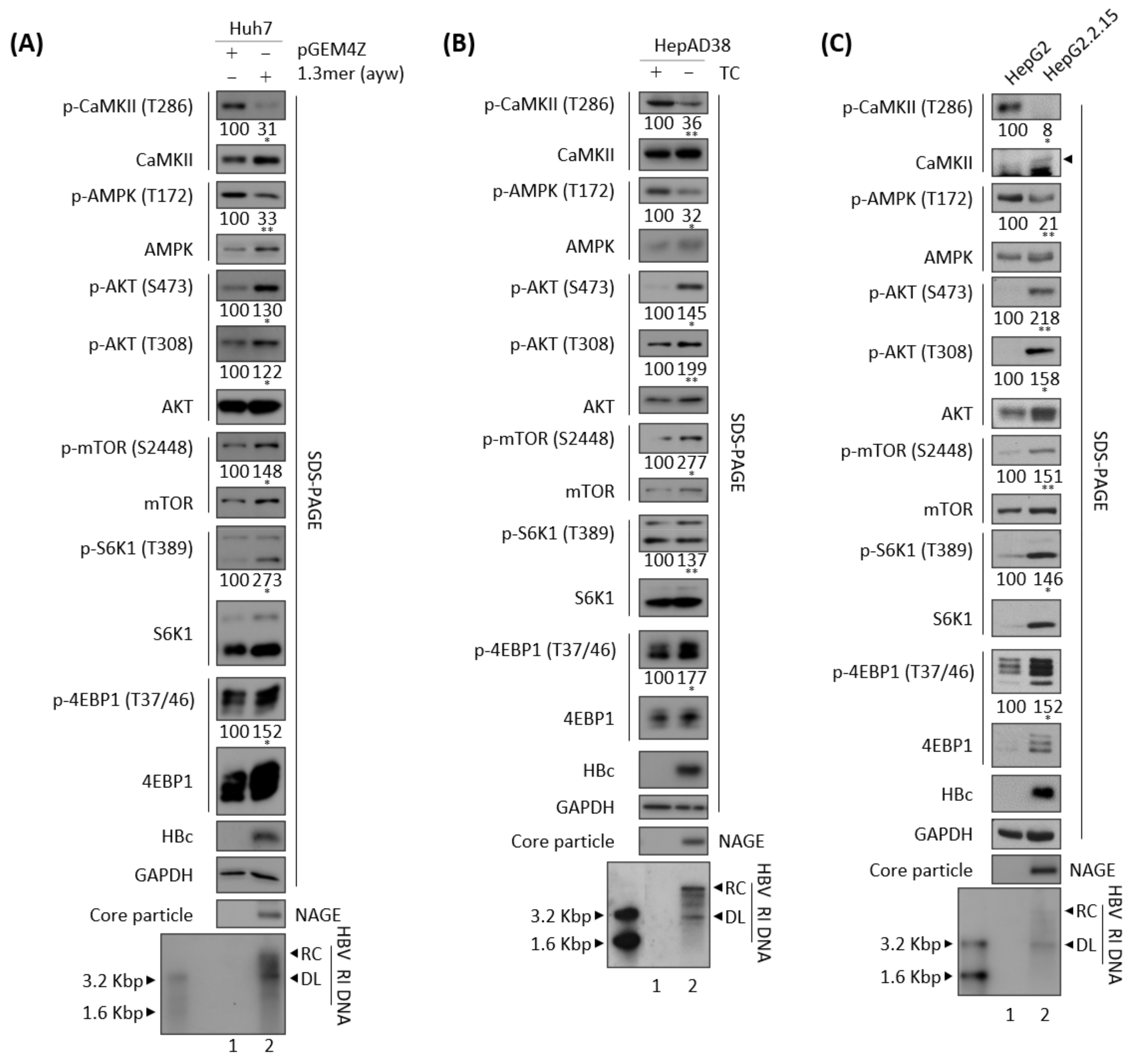 Microorganisms 10 00498 g003 Microorganisms 10 00498 g003