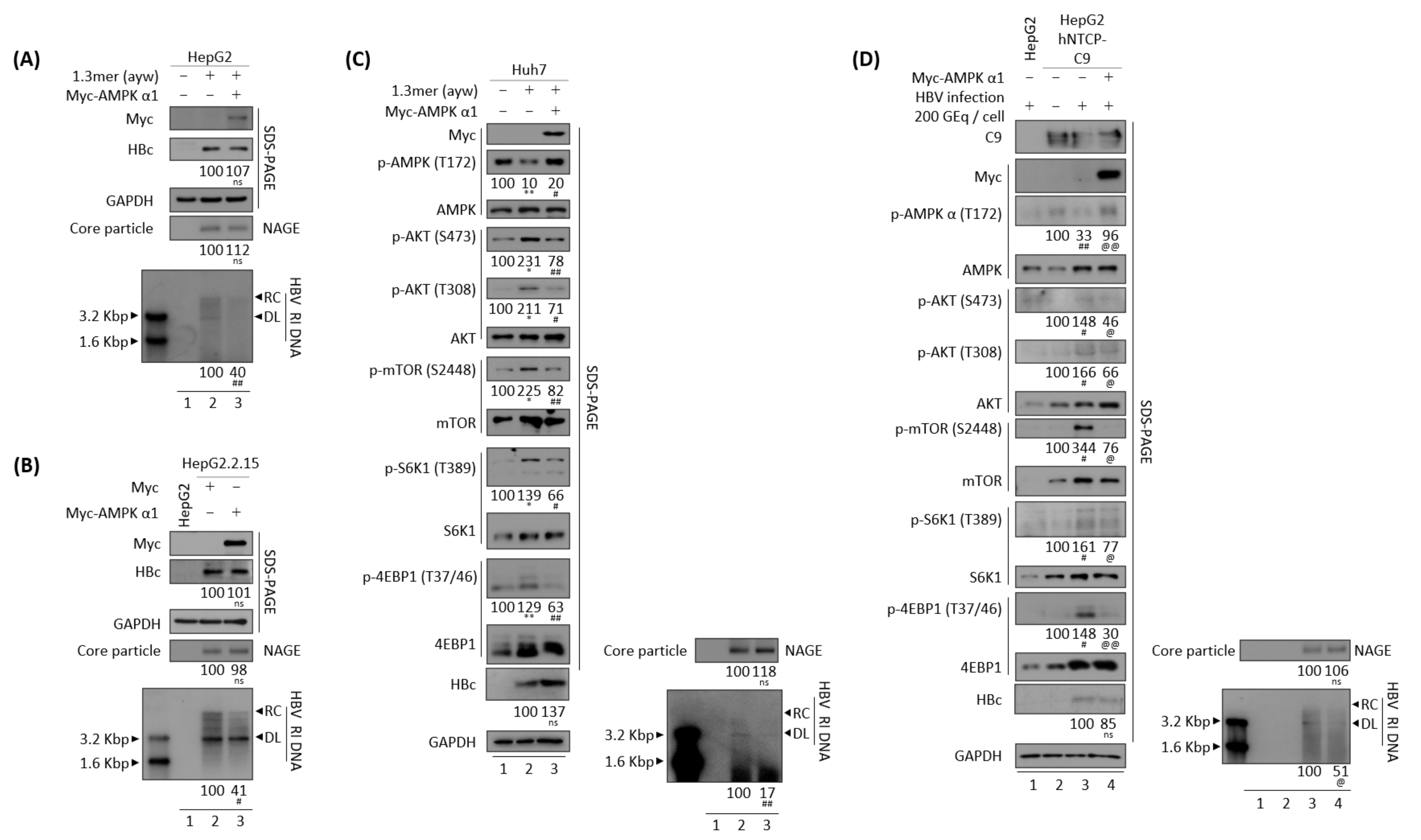 Microorganisms 10 00498 g005 Microorganisms 10 00498 g005