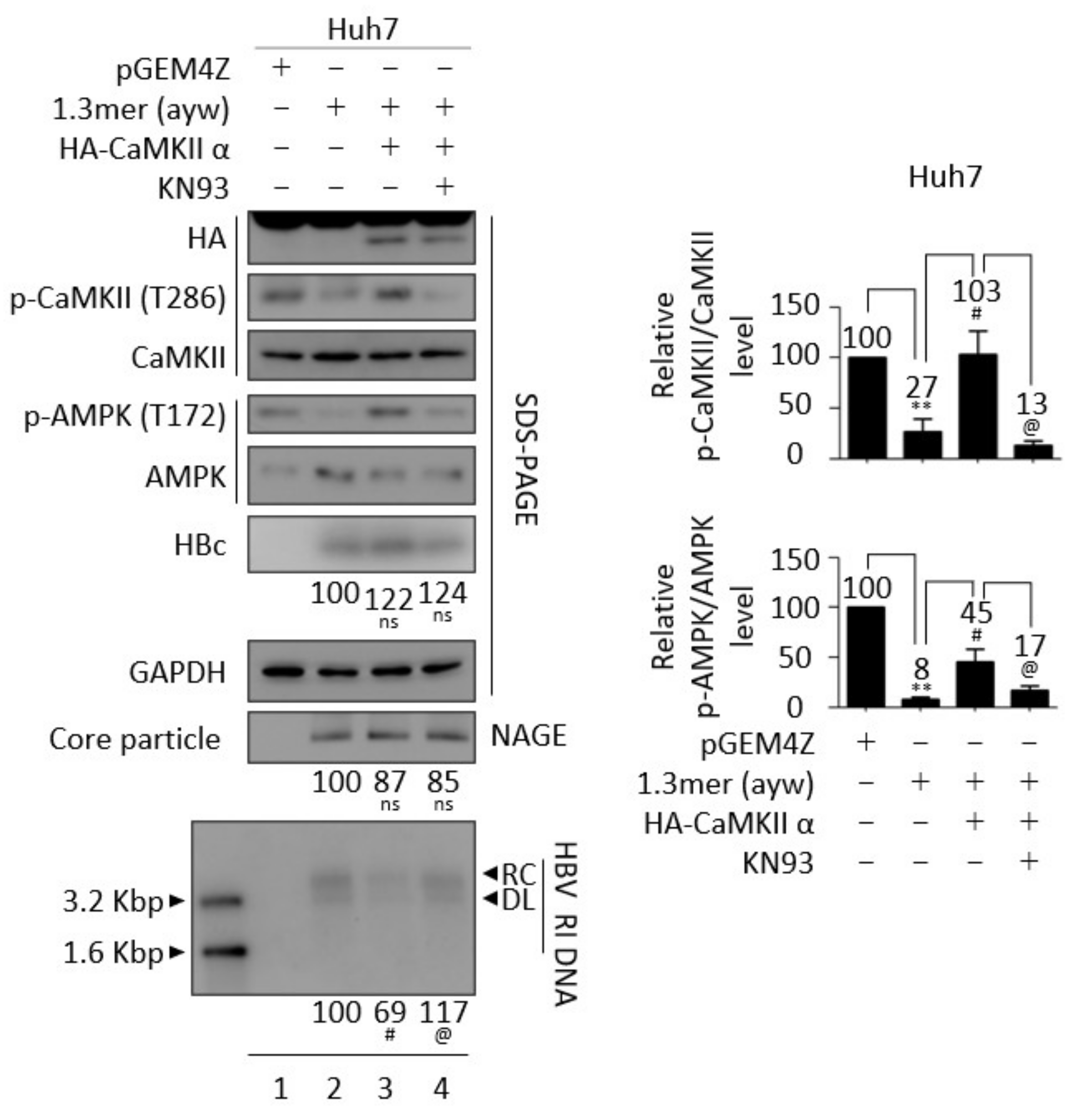 Microorganisms 10 00498 g006 Microorganisms 10 00498 g006