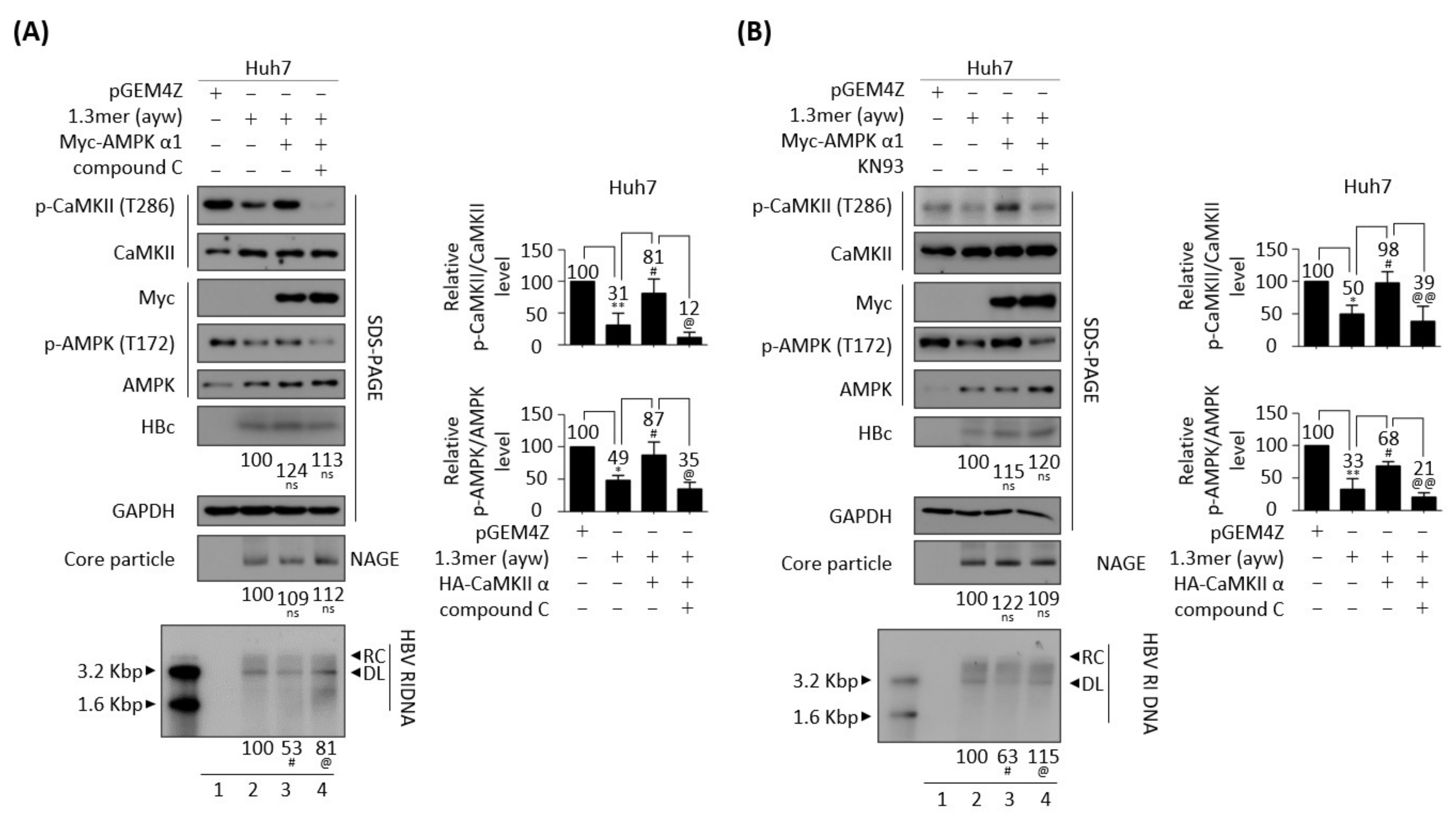 Microorganisms 10 00498 g008 Microorganisms 10 00498 g008