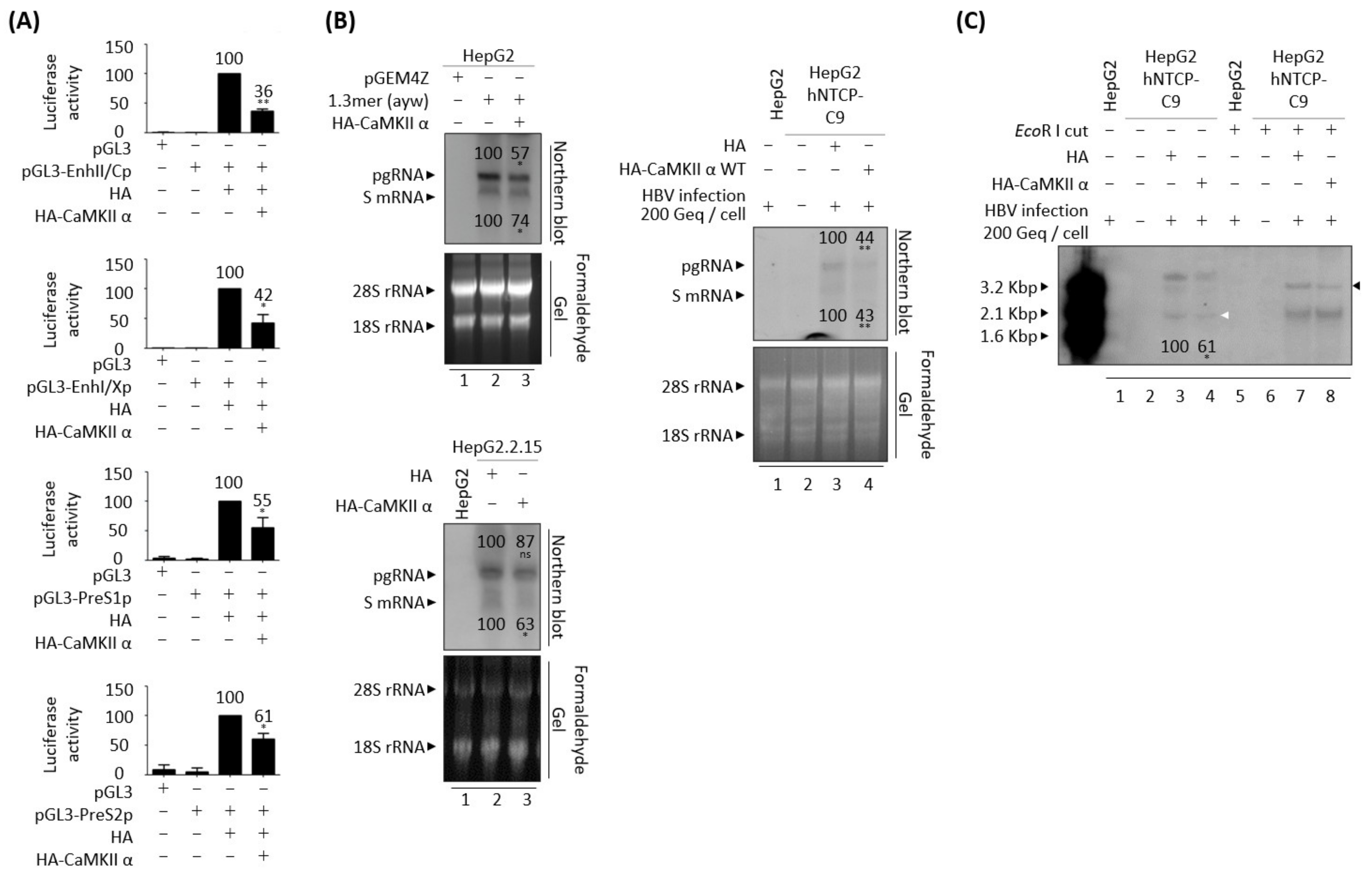 Microorganisms 10 00498 g009 Microorganisms 10 00498 g009
