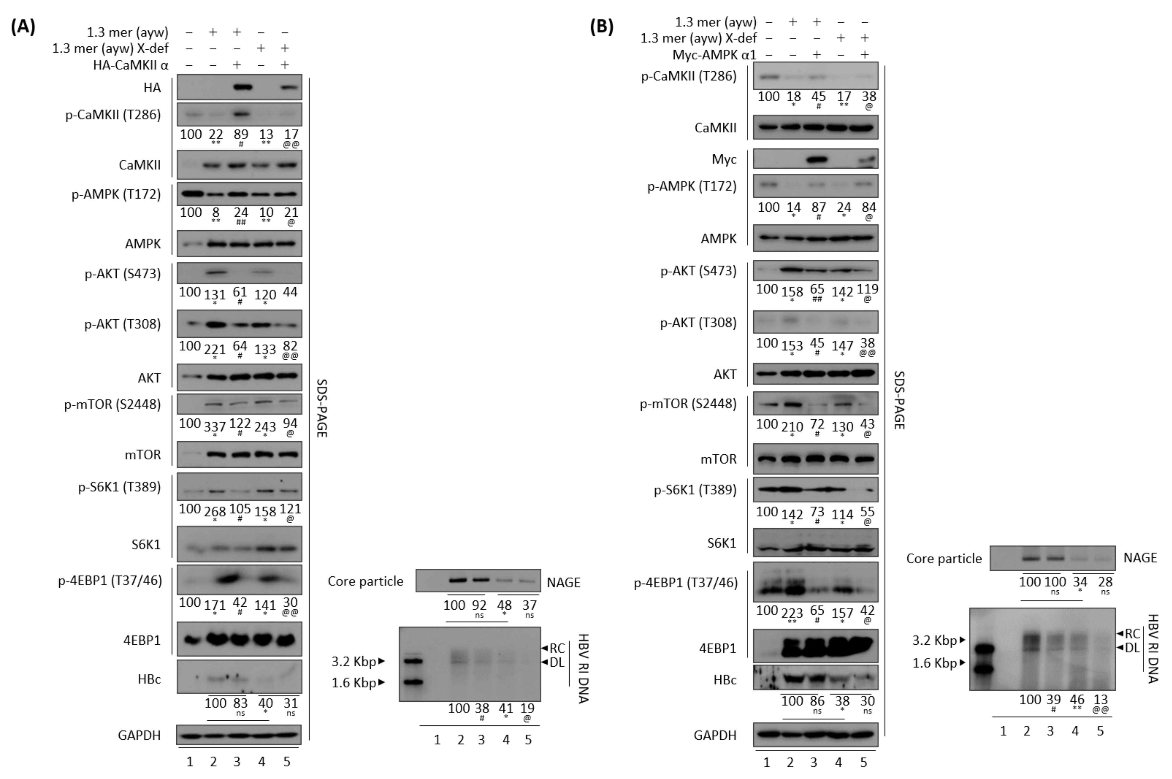Microorganisms 10 00498 g011 Microorganisms 10 00498 g011