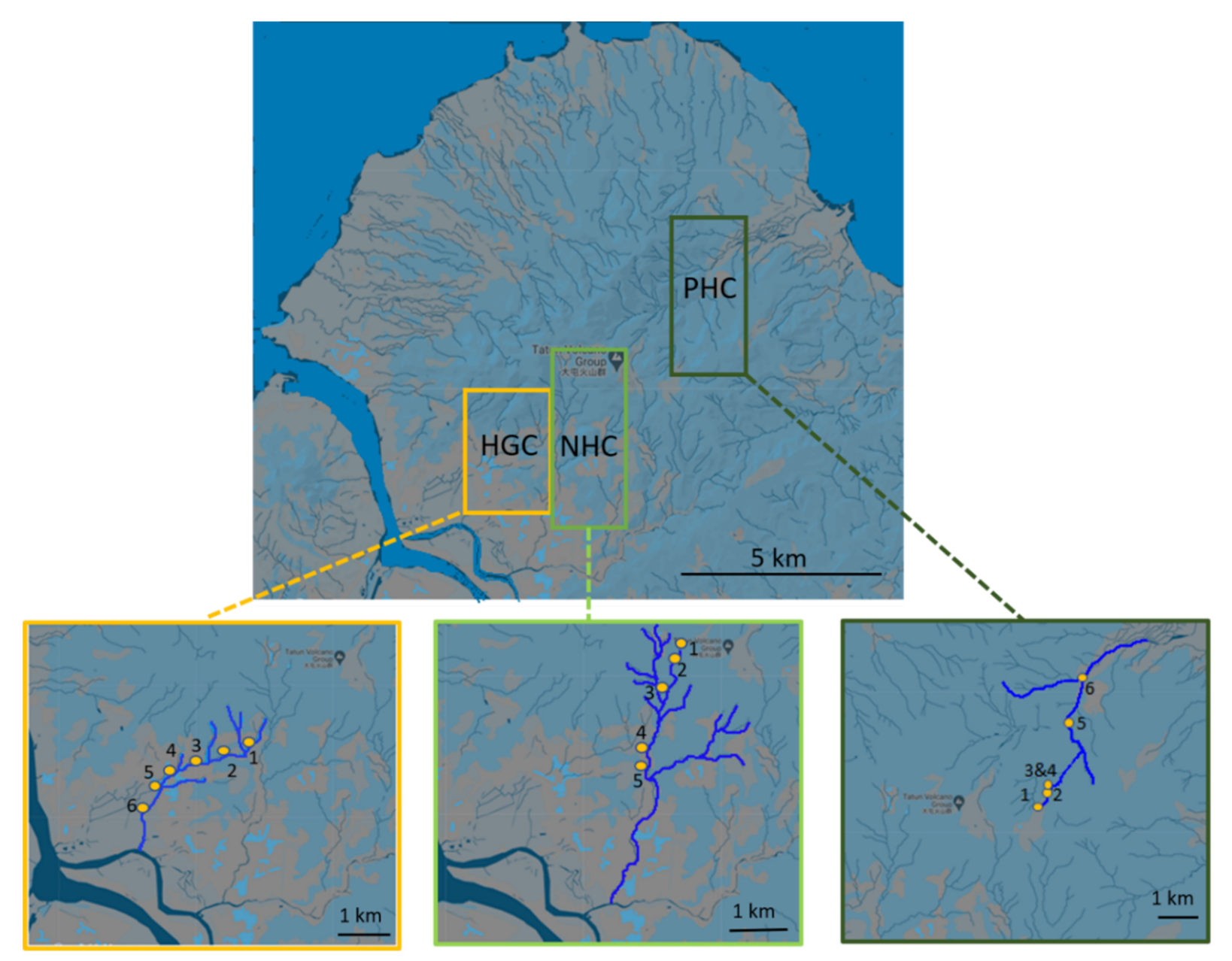 Microorganisms 10 00500 g001