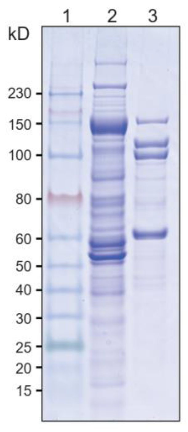 Microorganisms 10 00502 g0a1 Microorganisms 10 00502 g0a1