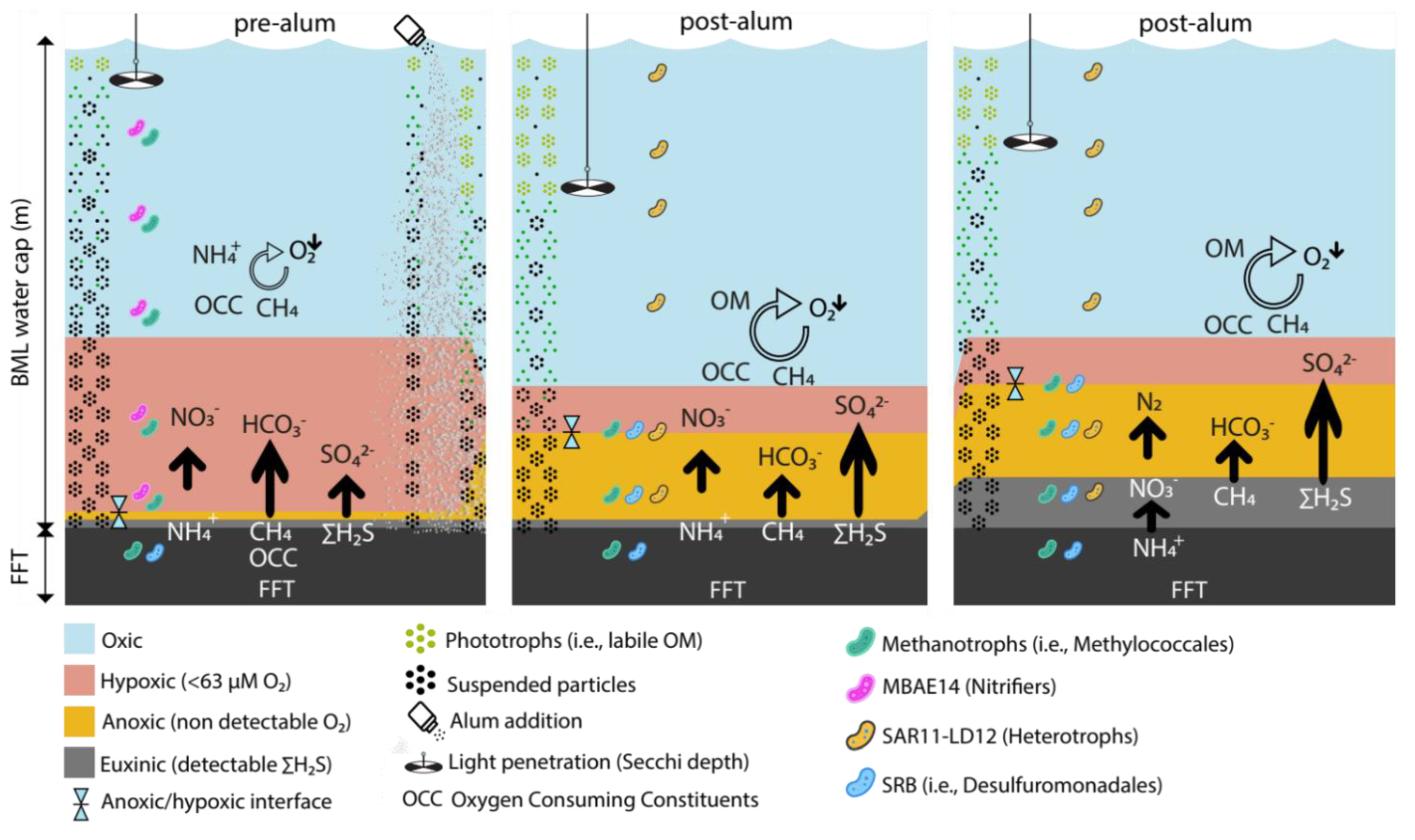 Microorganisms 10 00510 g005 Microorganisms 10 00510 g005