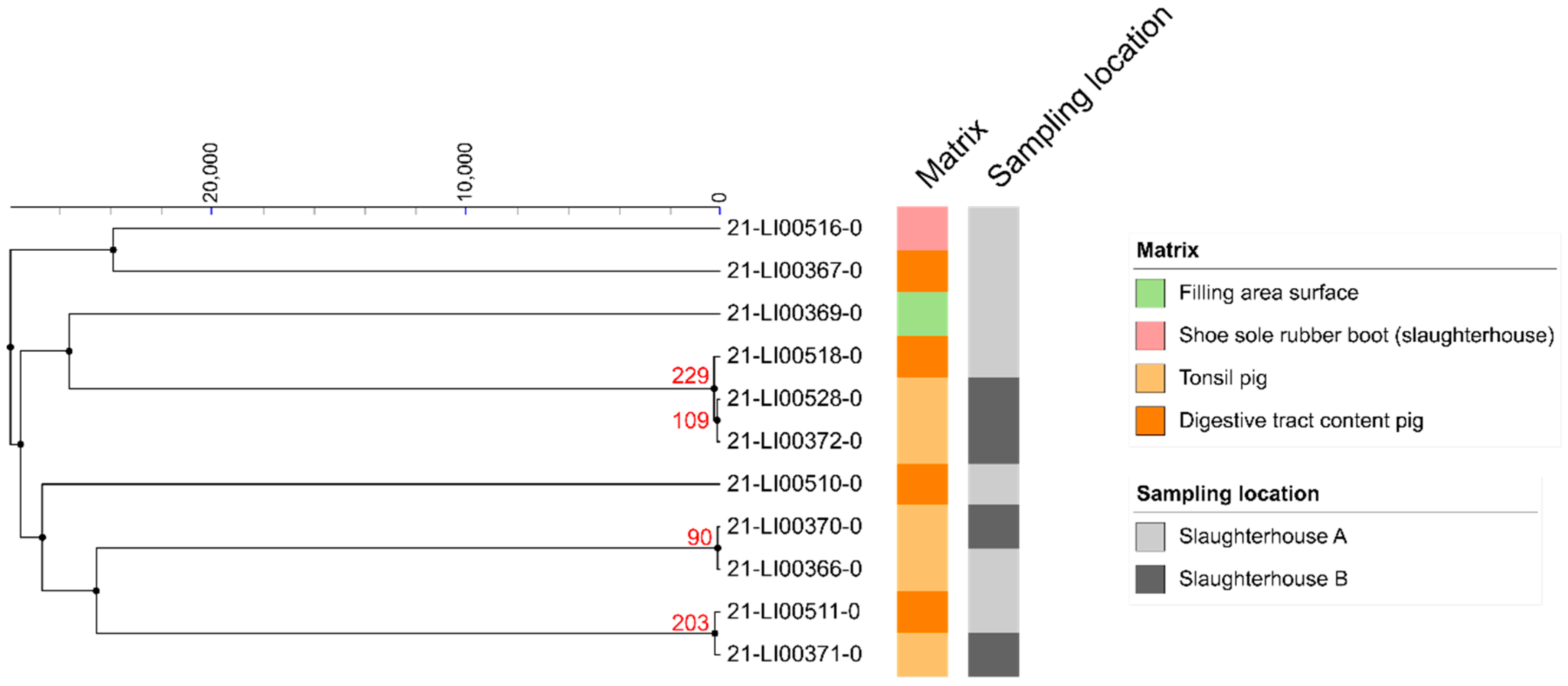 Microorganisms 10 00512 g002 550