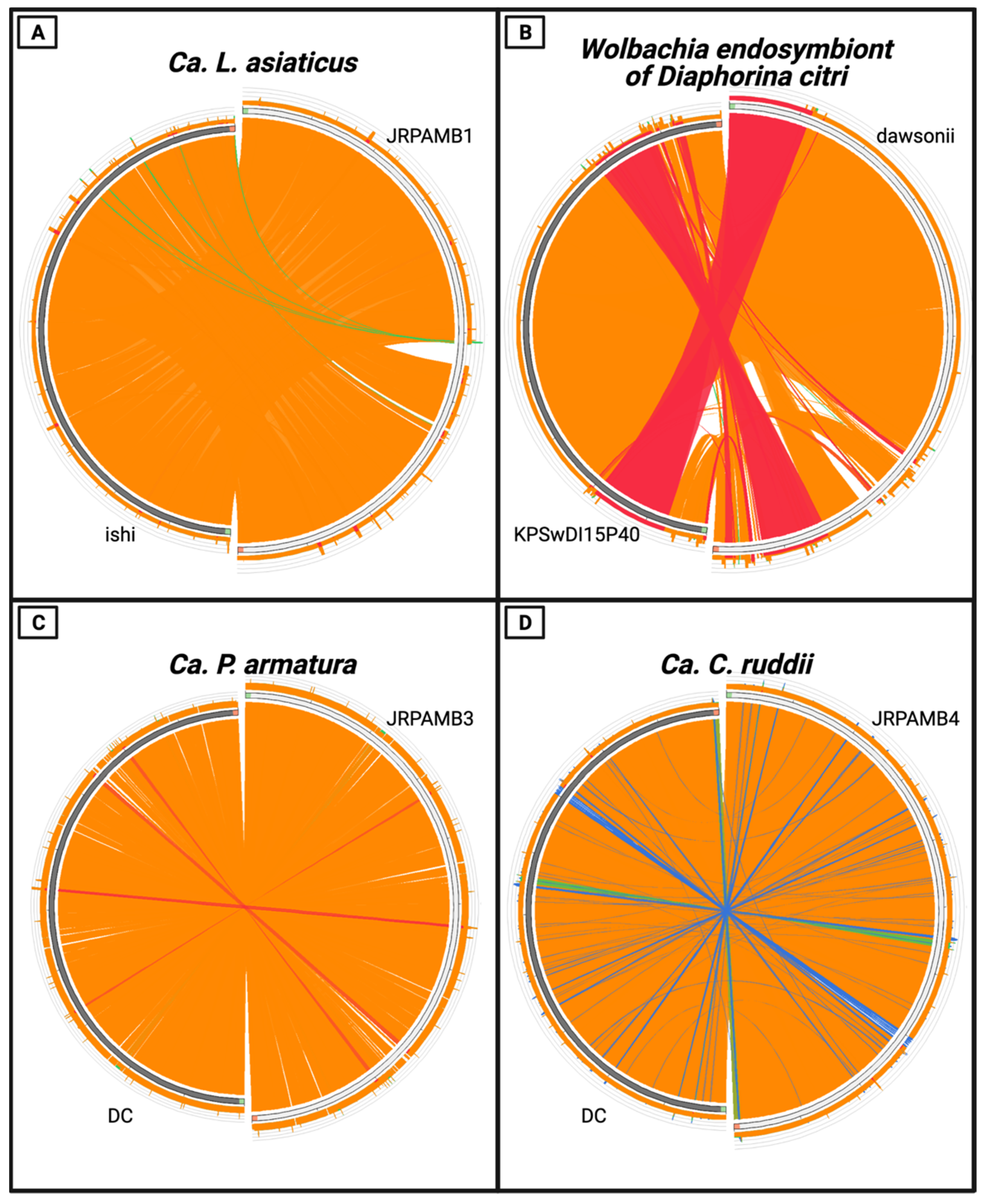 Microorganisms 10 00513 g002 550
