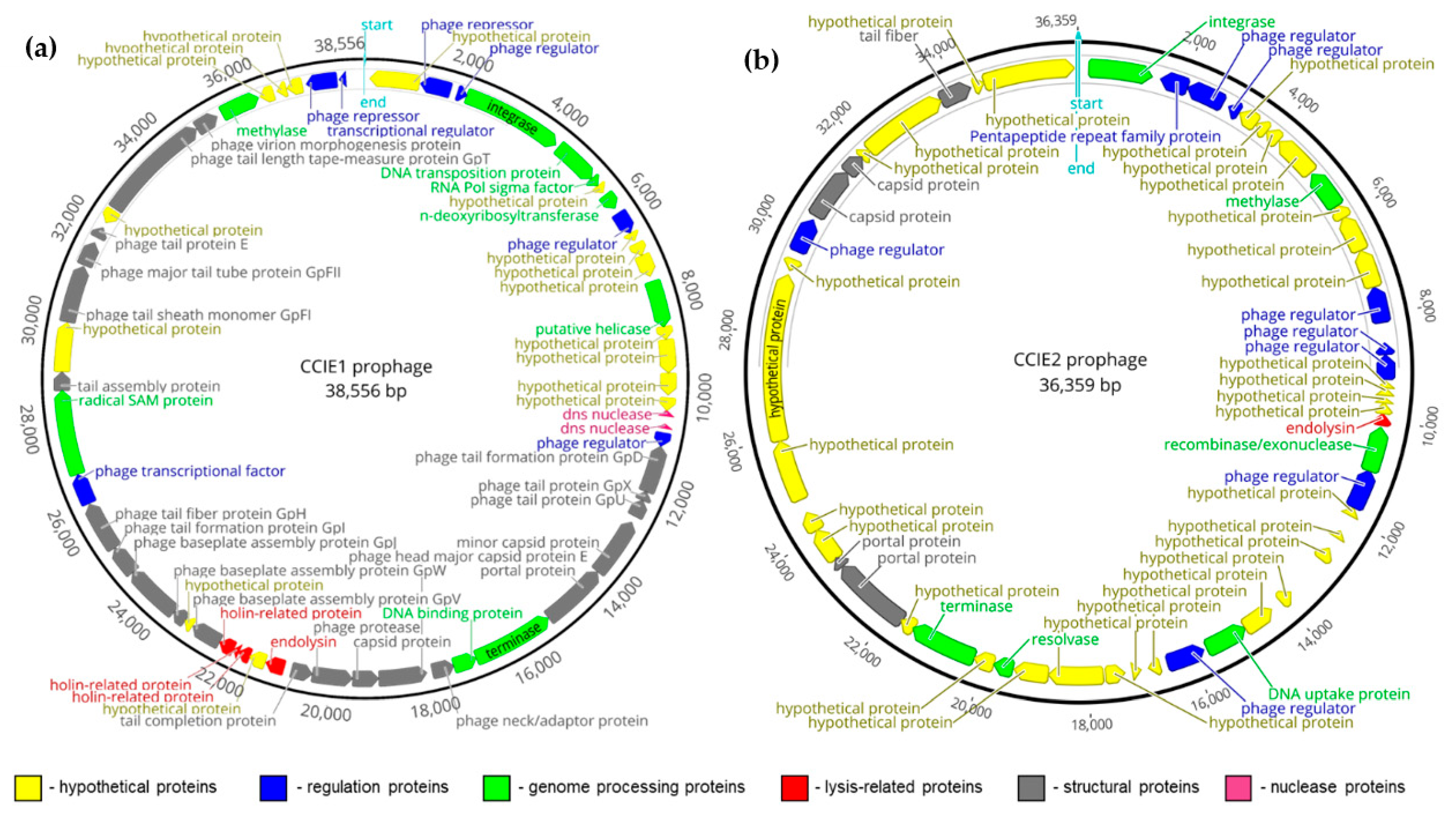 Microorganisms 10 00516 g001 Microorganisms 10 00516 g001