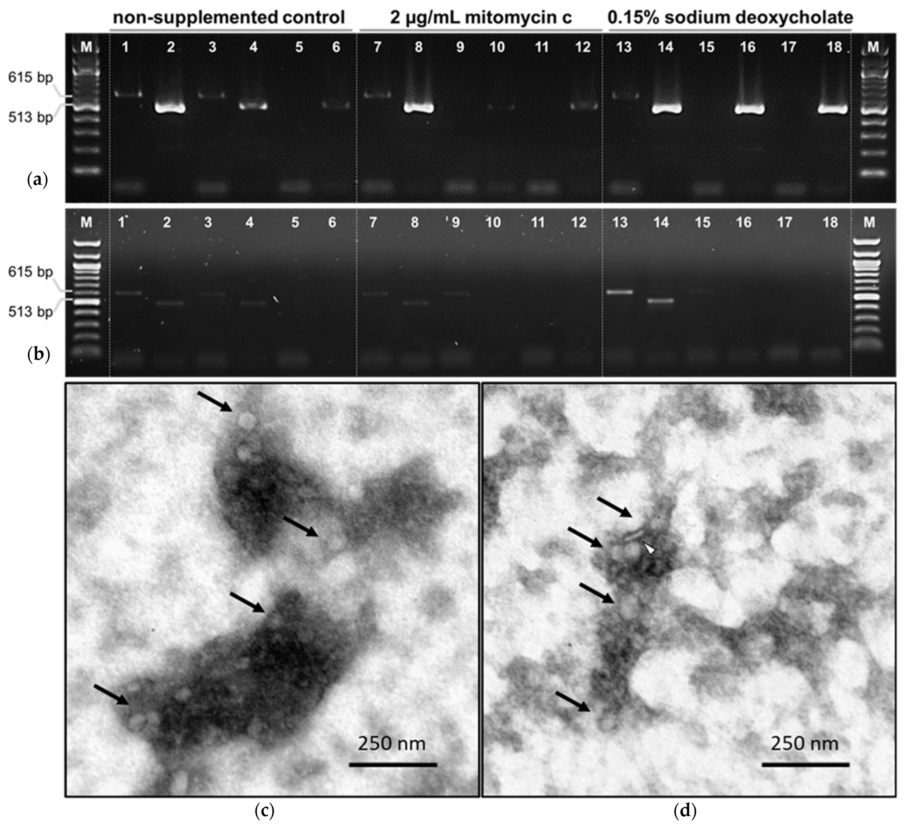 Microorganisms 10 00516 g002 Microorganisms 10 00516 g002