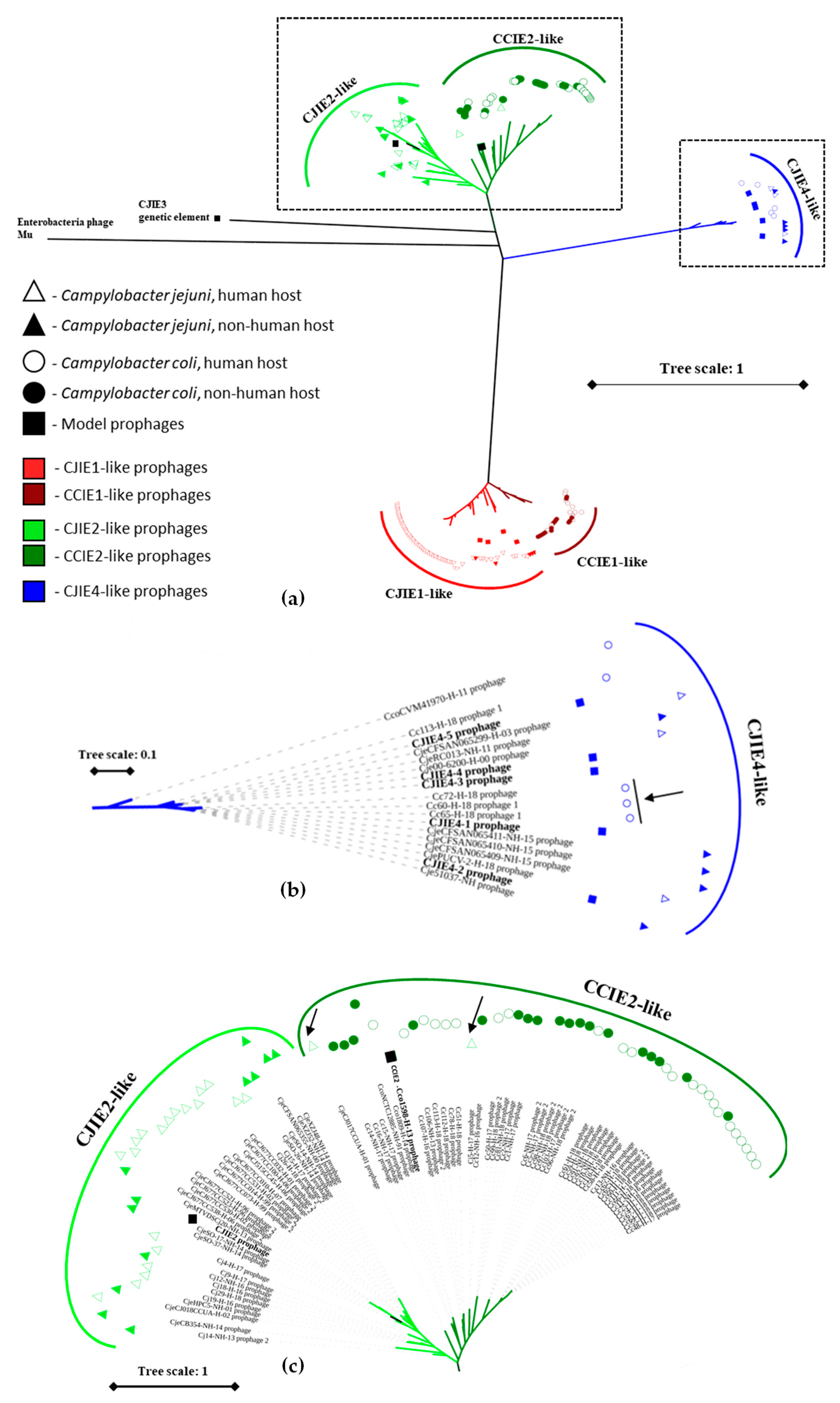 Microorganisms 10 00516 g003 Microorganisms 10 00516 g003