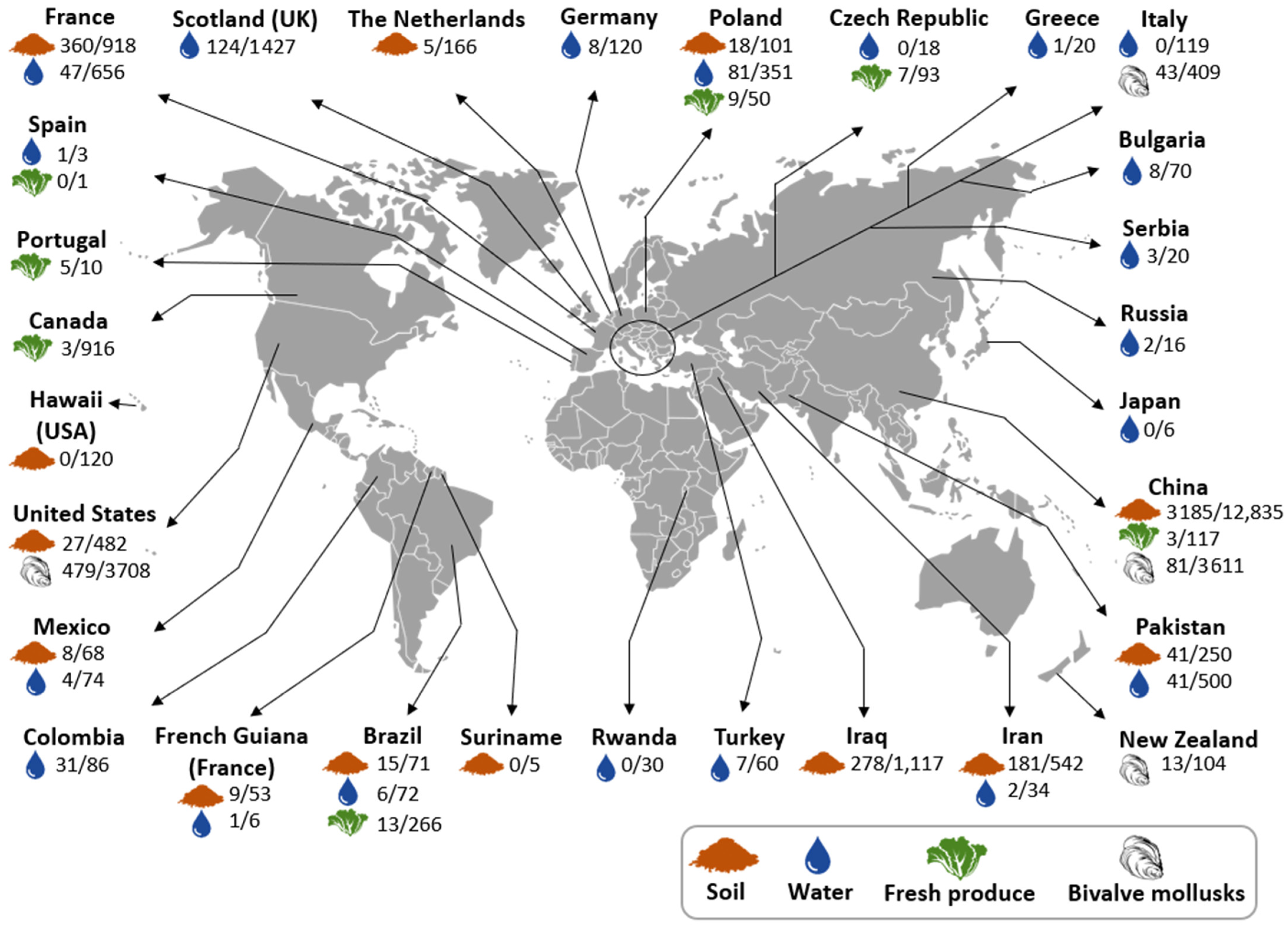 Microorganisms 10 00517 g002