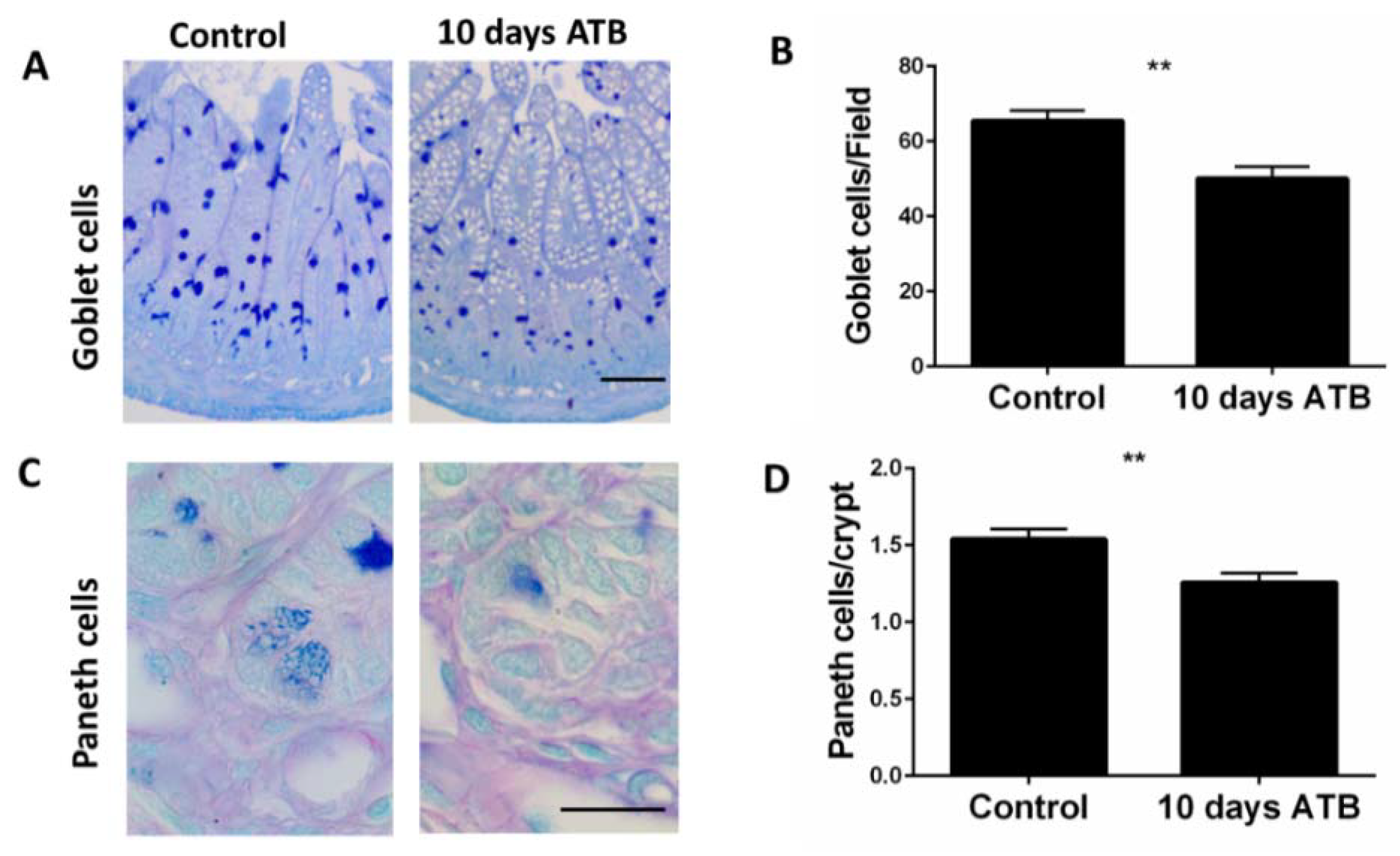 Microorganisms 10 00519 g003 Microorganisms 10 00519 g003