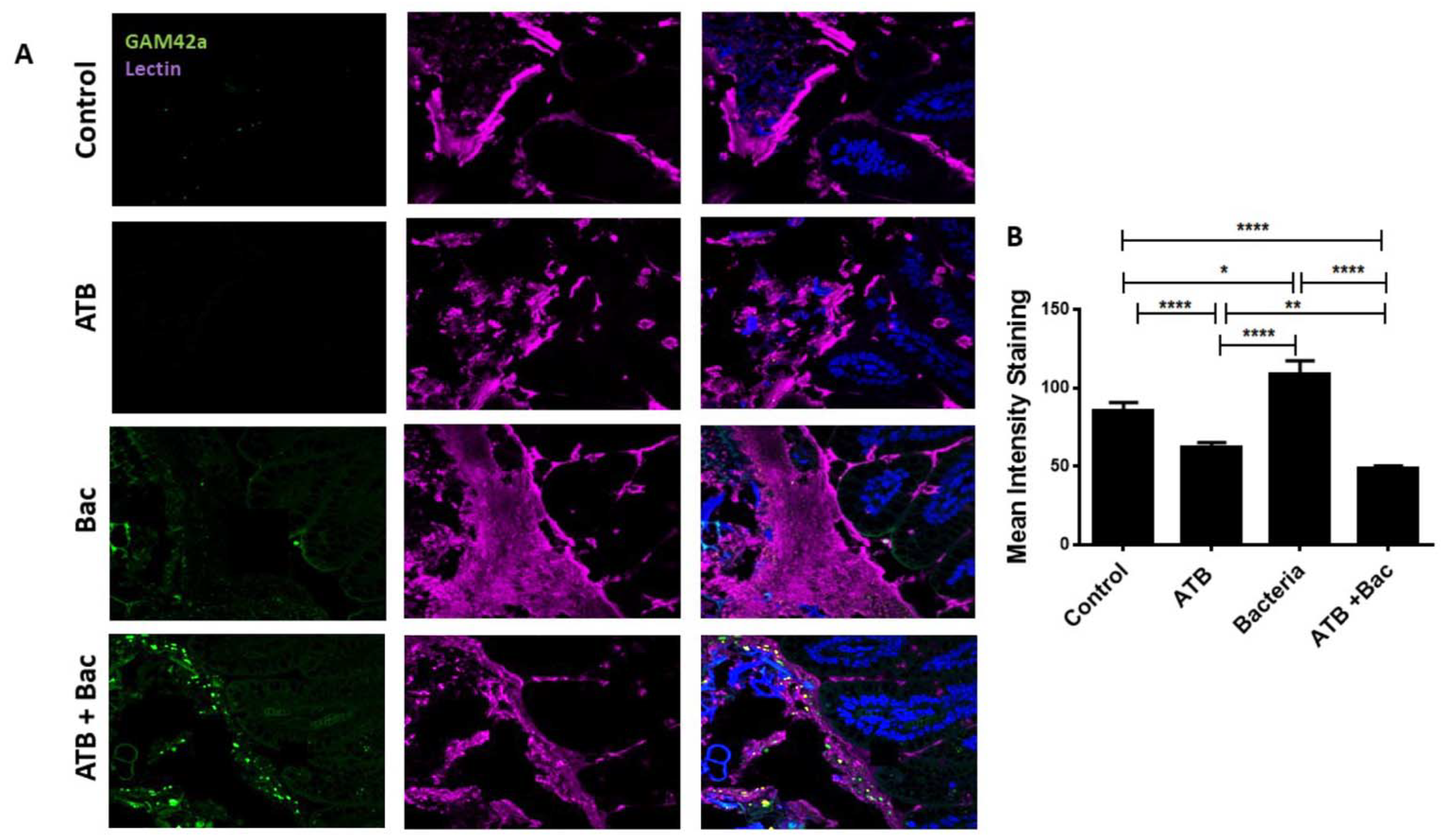 Microorganisms 10 00519 g009 Microorganisms 10 00519 g009