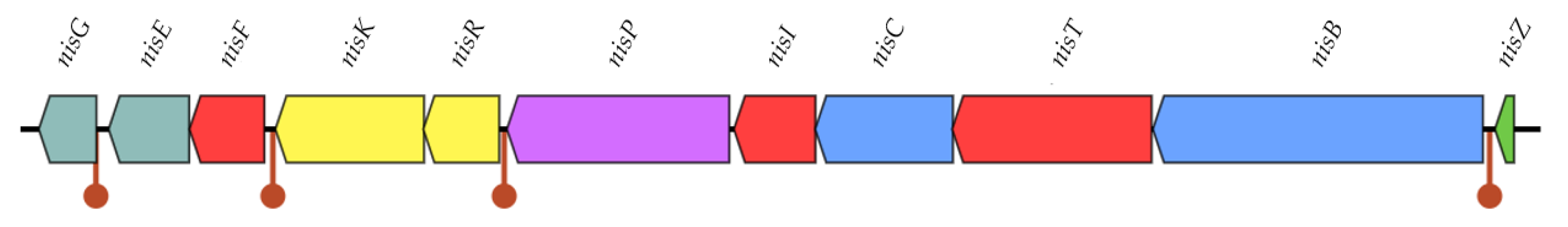 Microorganisms 10 00521 g002 Microorganisms 10 00521 g002