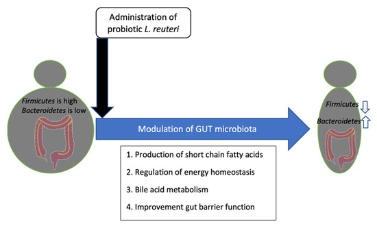 Reuters Probitics Limosilactobacillus reuteri in Health and Disease