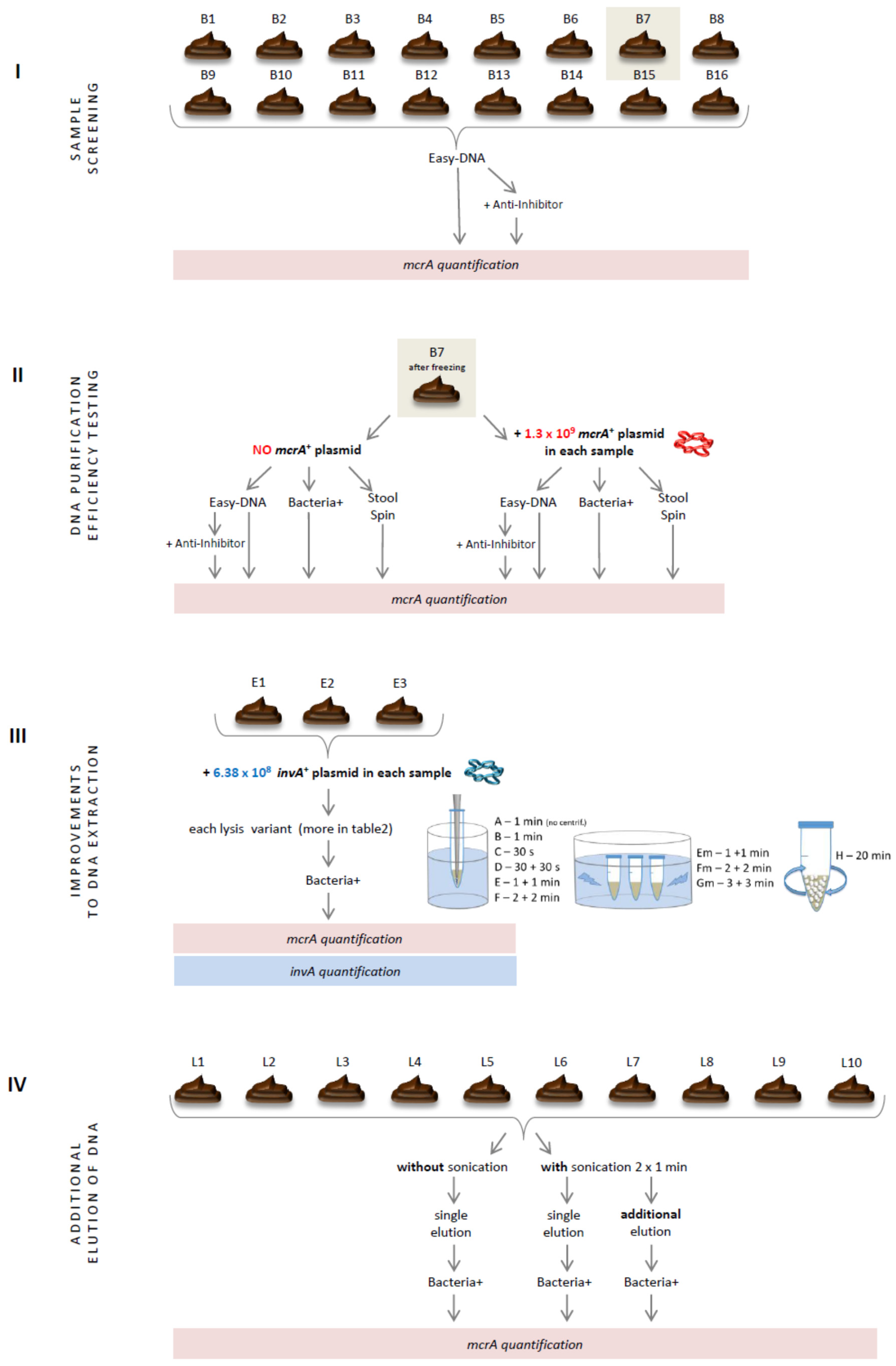Microorganisms 10 00523 g001