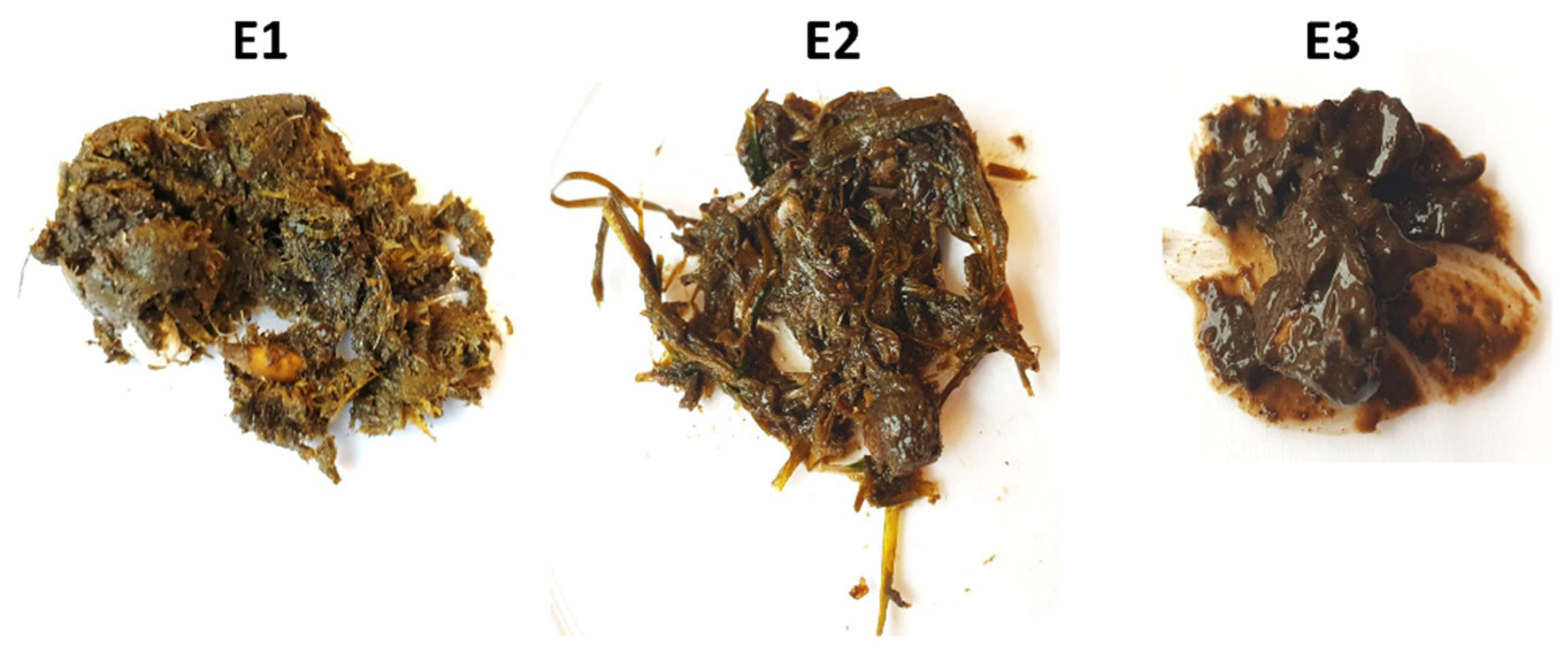 Microorganisms 10 00523 g002