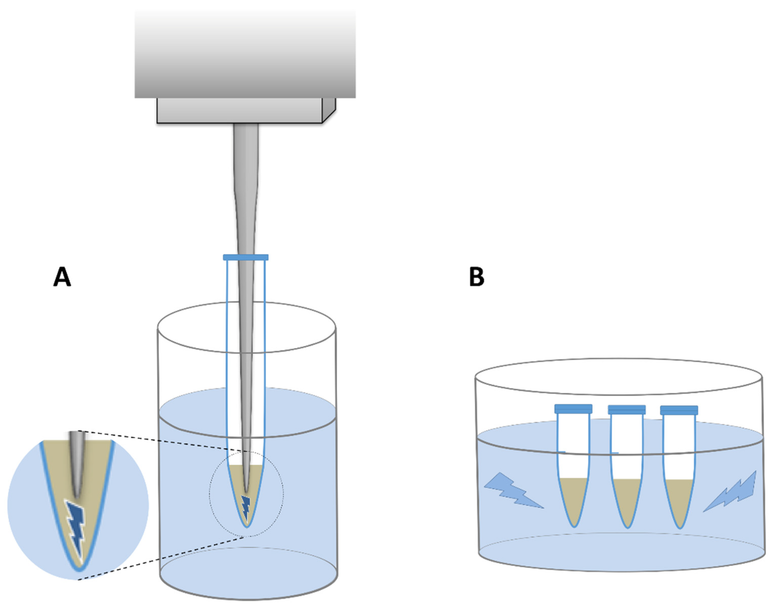 Microorganisms 10 00523 g003
