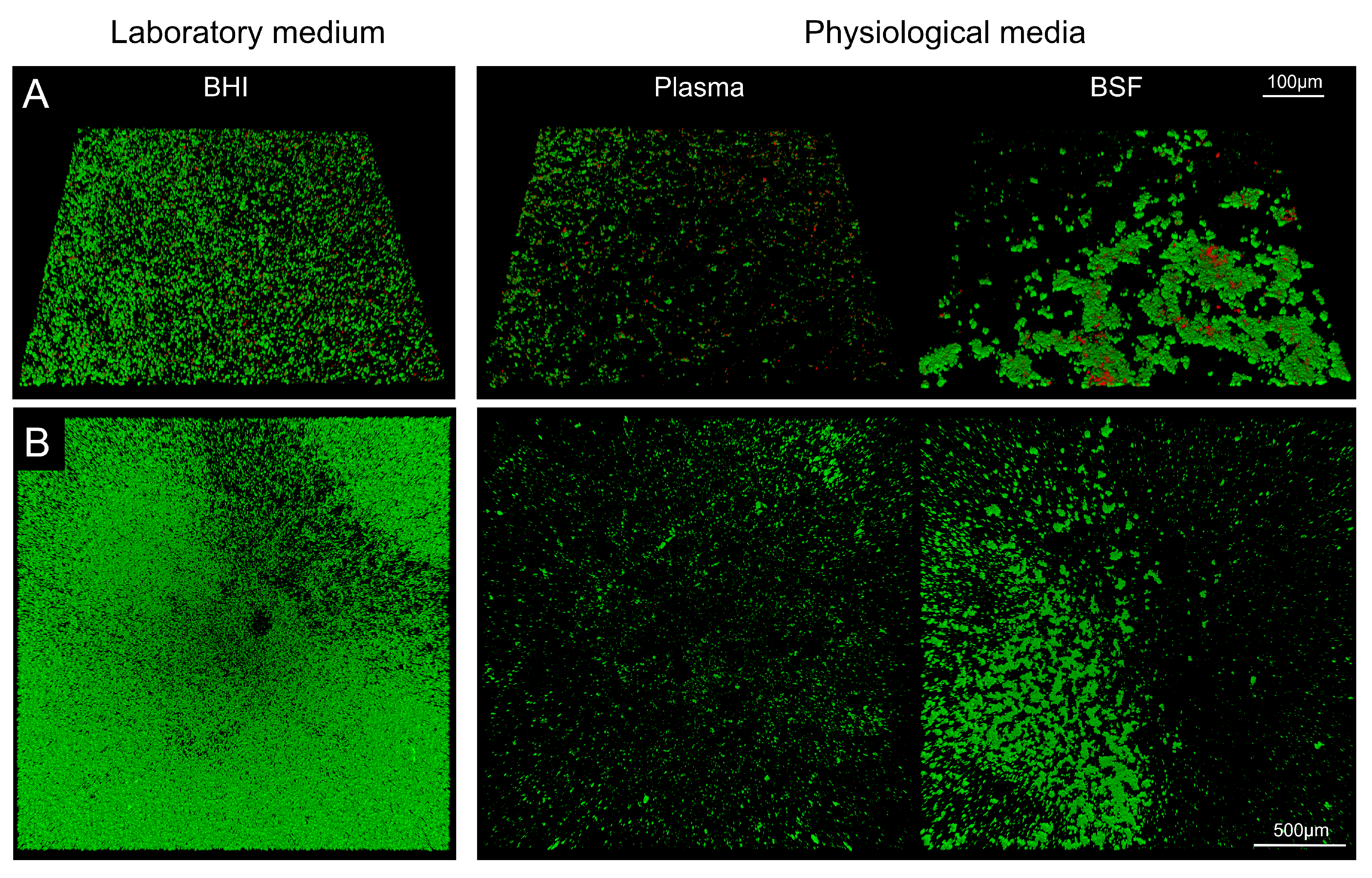 Microorganisms 10 00526 g001 550