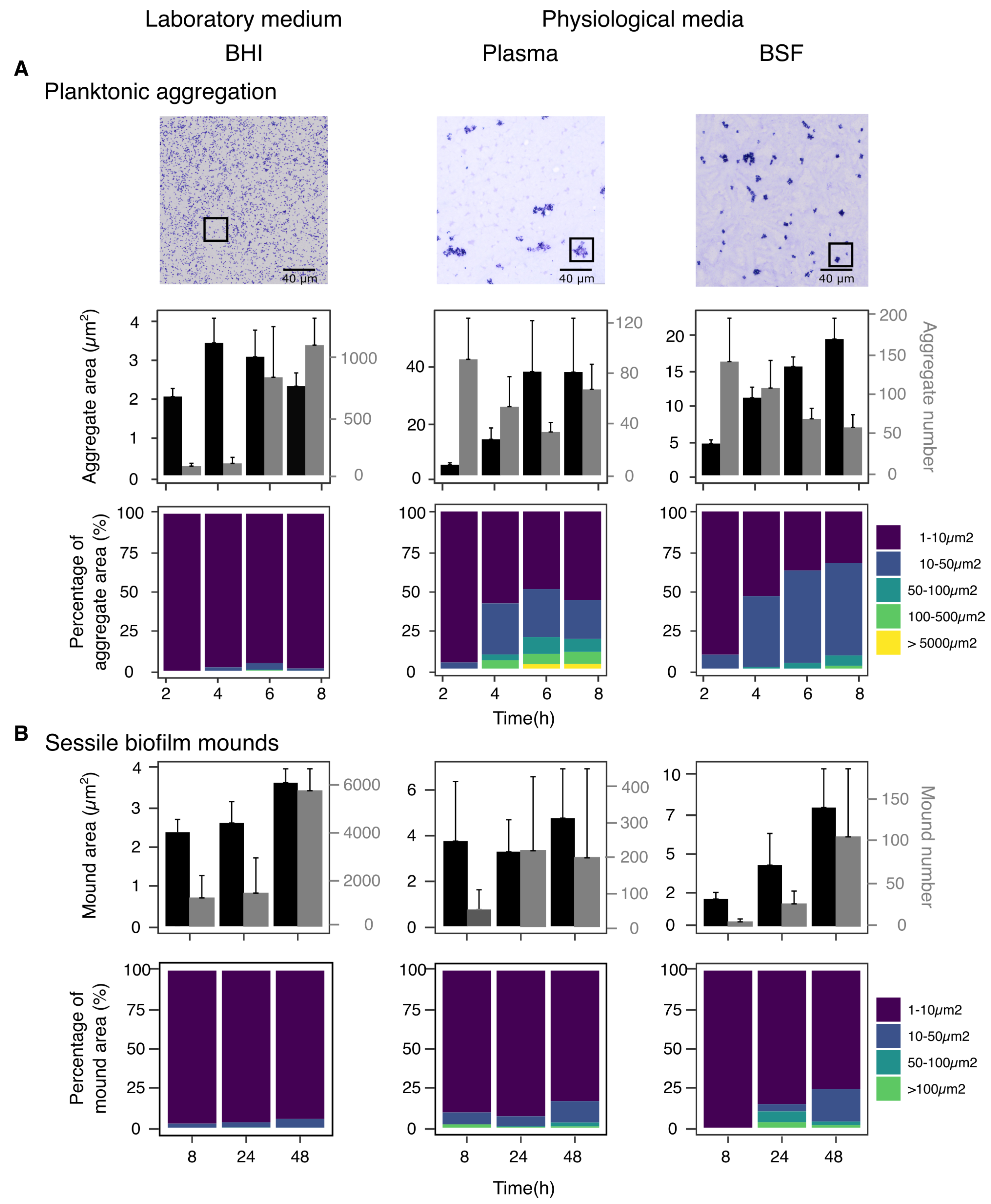 Microorganisms 10 00526 g005 550
