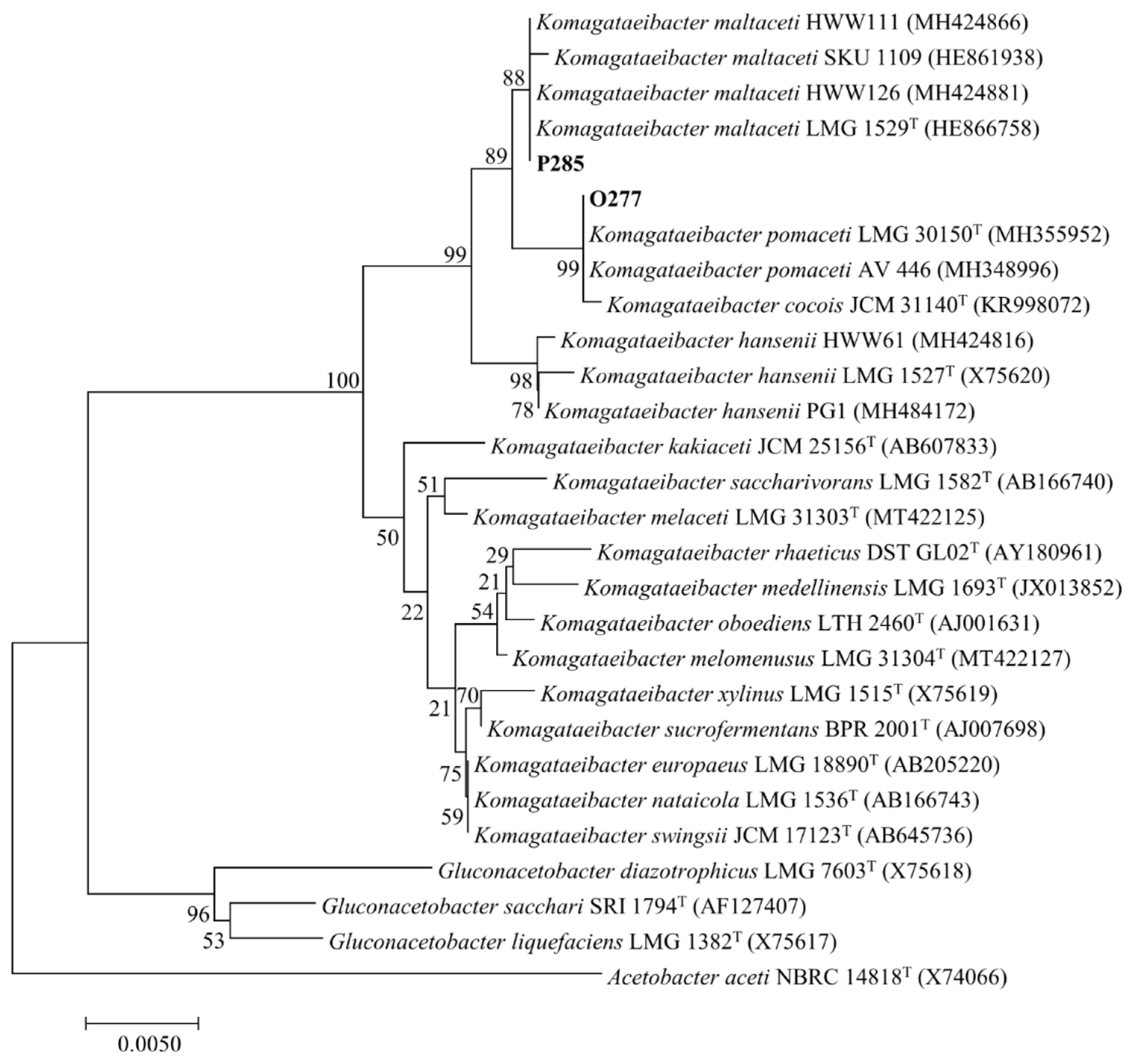 Microorganisms 10 00528 g001