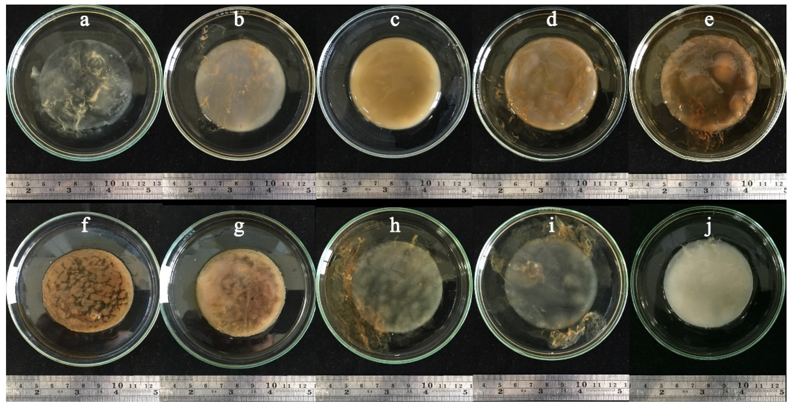 Microorganisms 10 00528 g005