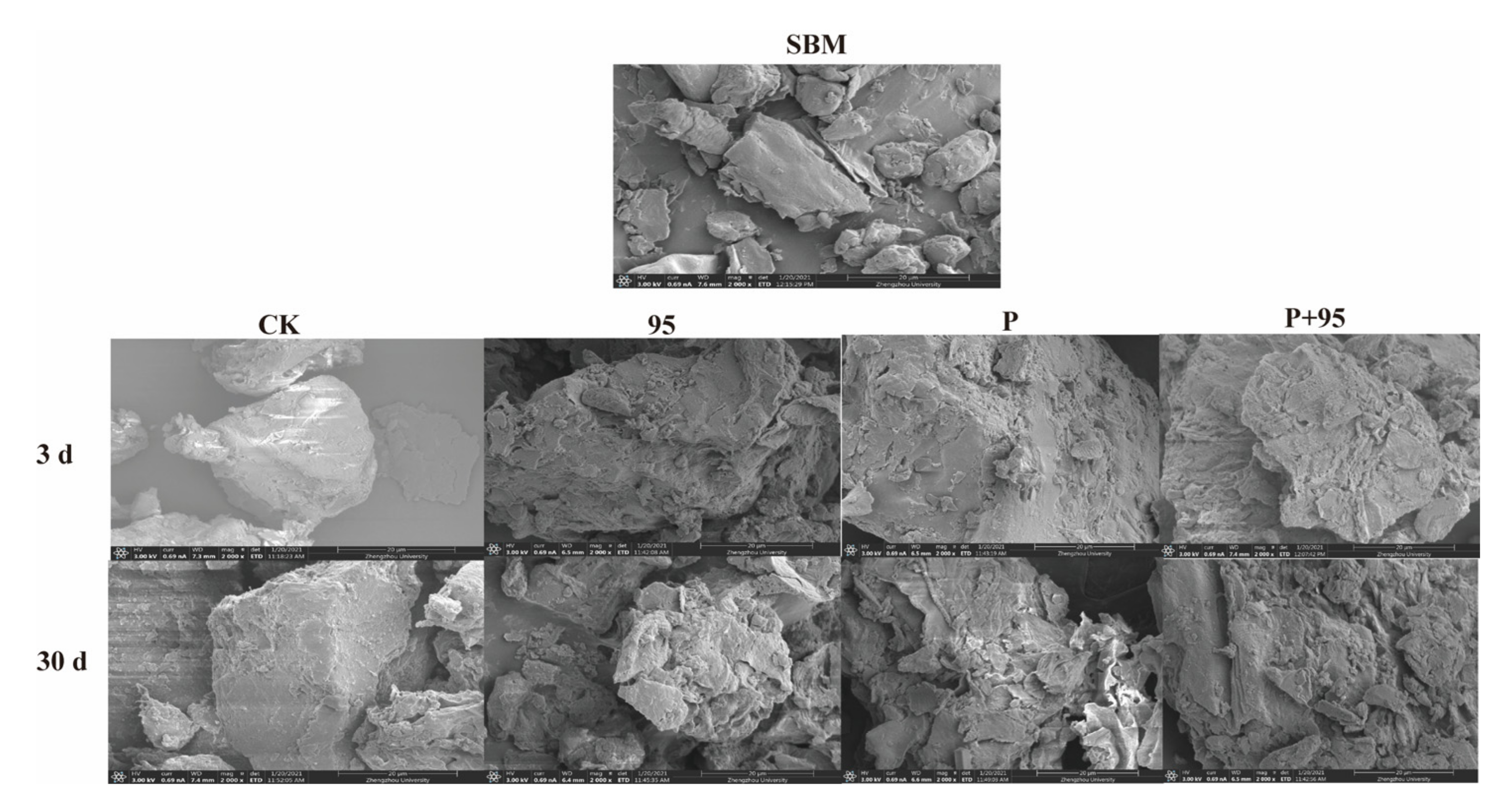Microorganisms 10 00530 g007
