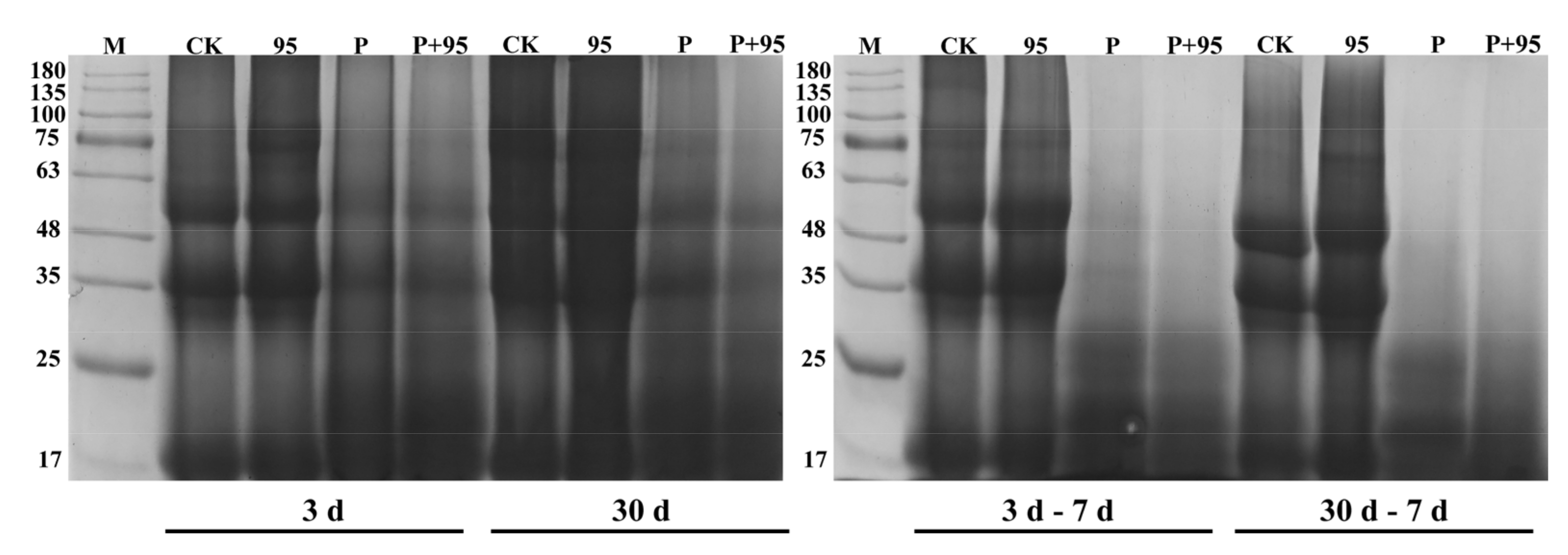 Microorganisms 10 00530 g008