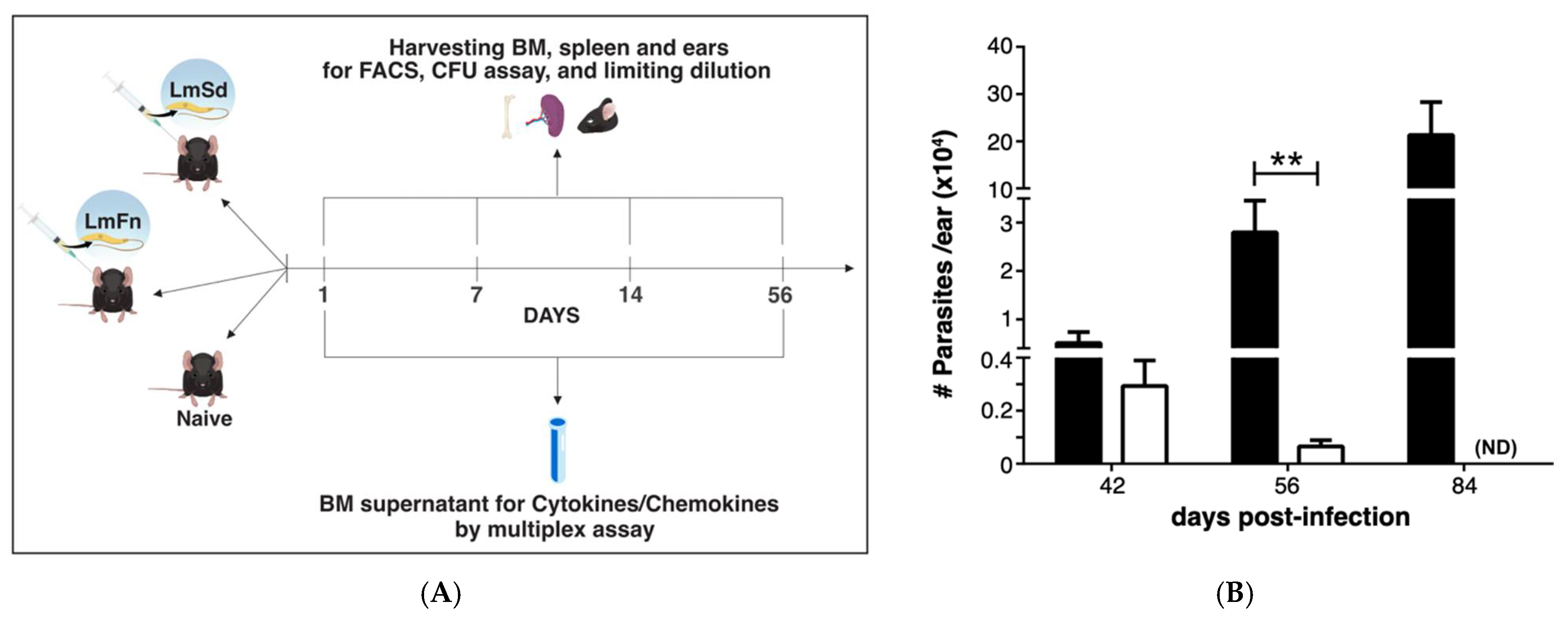 Microorganisms 10 00535 g001 Microorganisms 10 00535 g001
