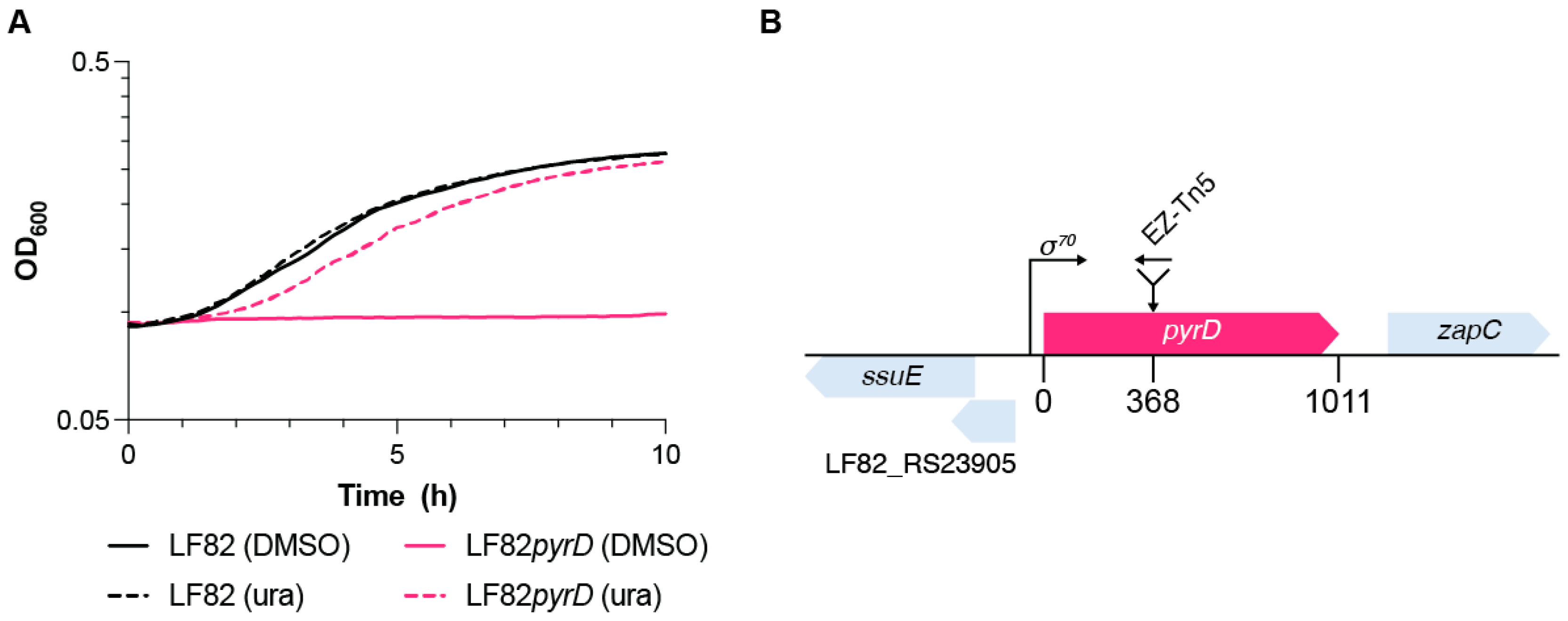 Microorganisms 10 00537 g001 550