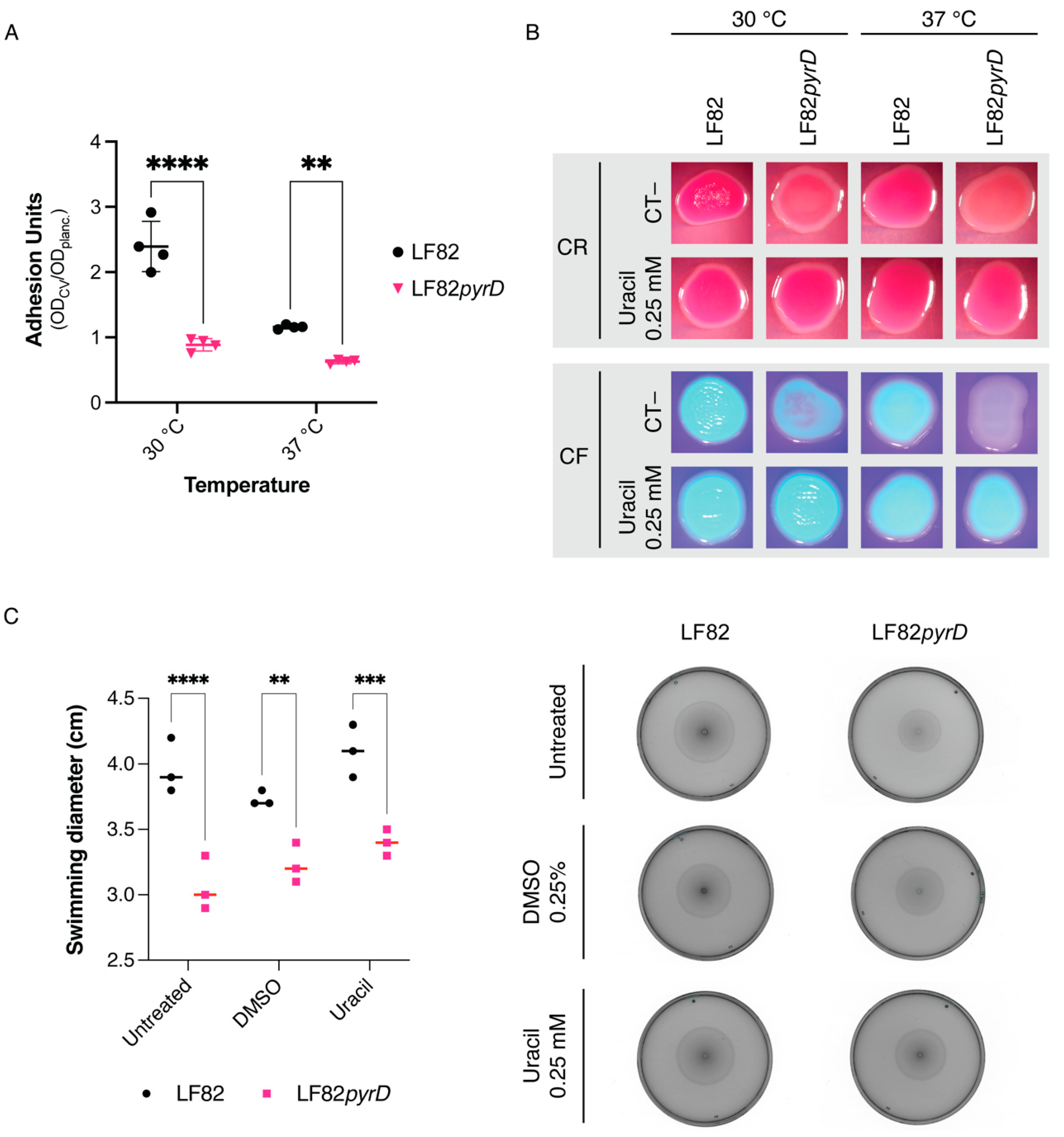 Microorganisms 10 00537 g002 550