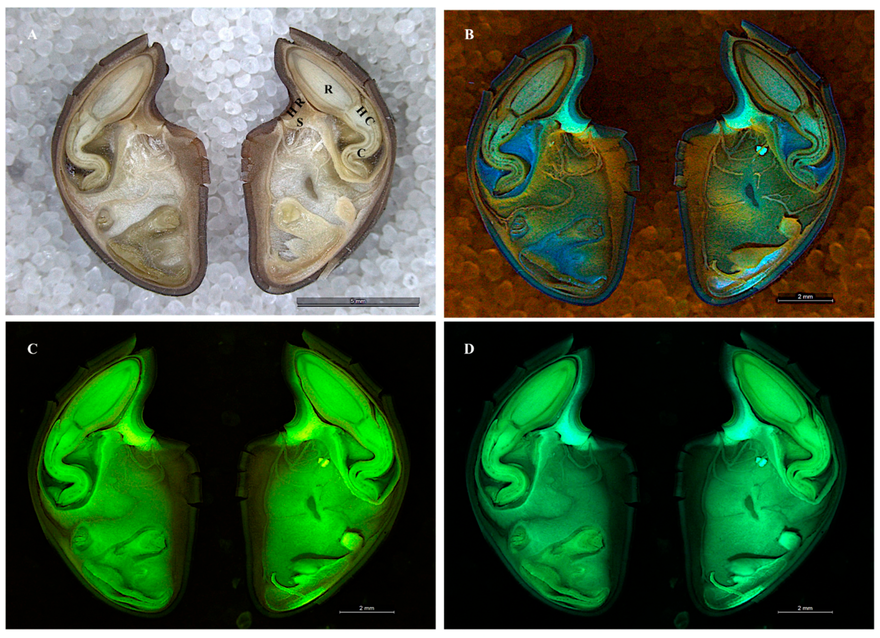 Microorganisms 10 00545 g001